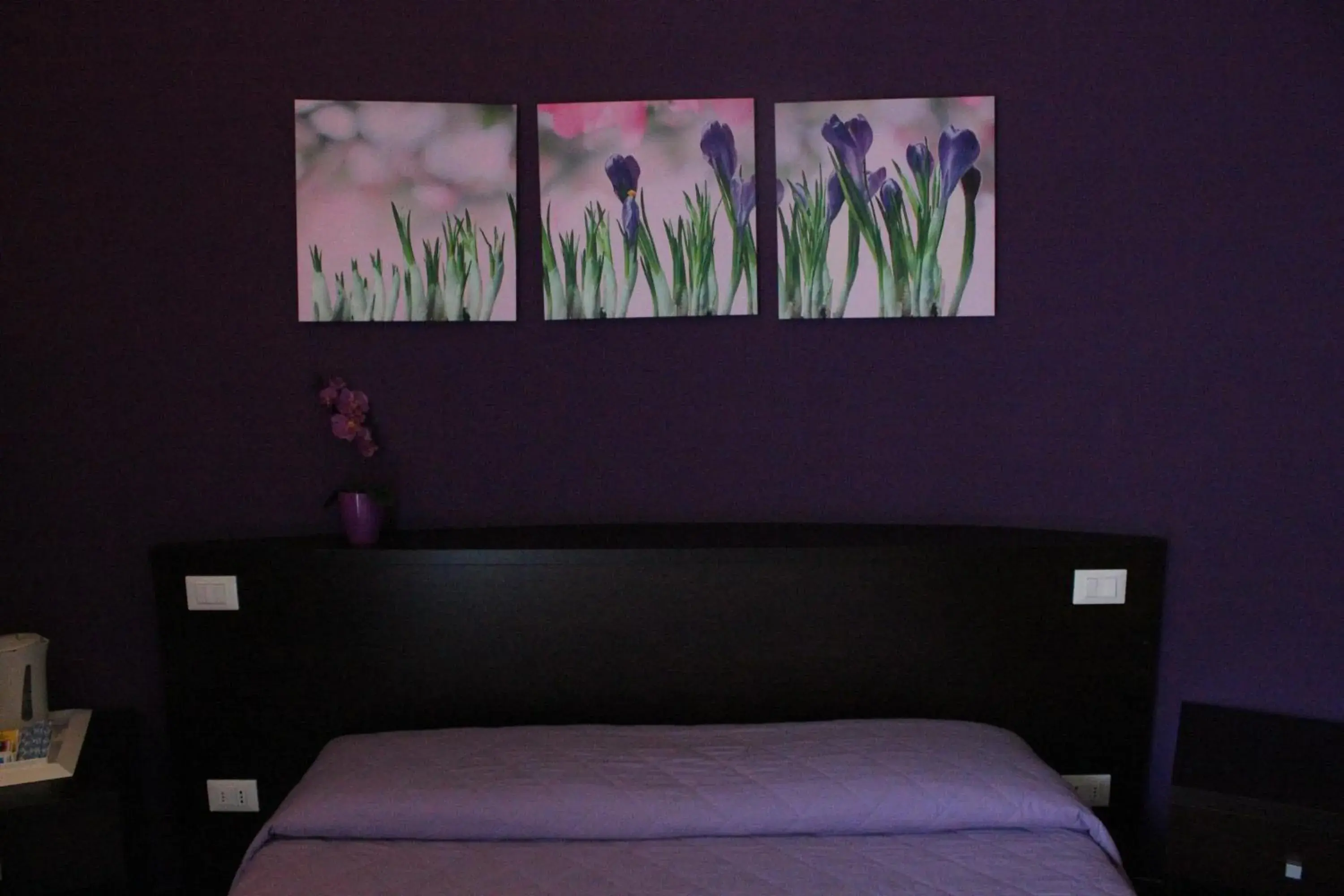 Double Room - single occupancy in B&B Fanzago Double Room - single occupancy in B&B Fanzago