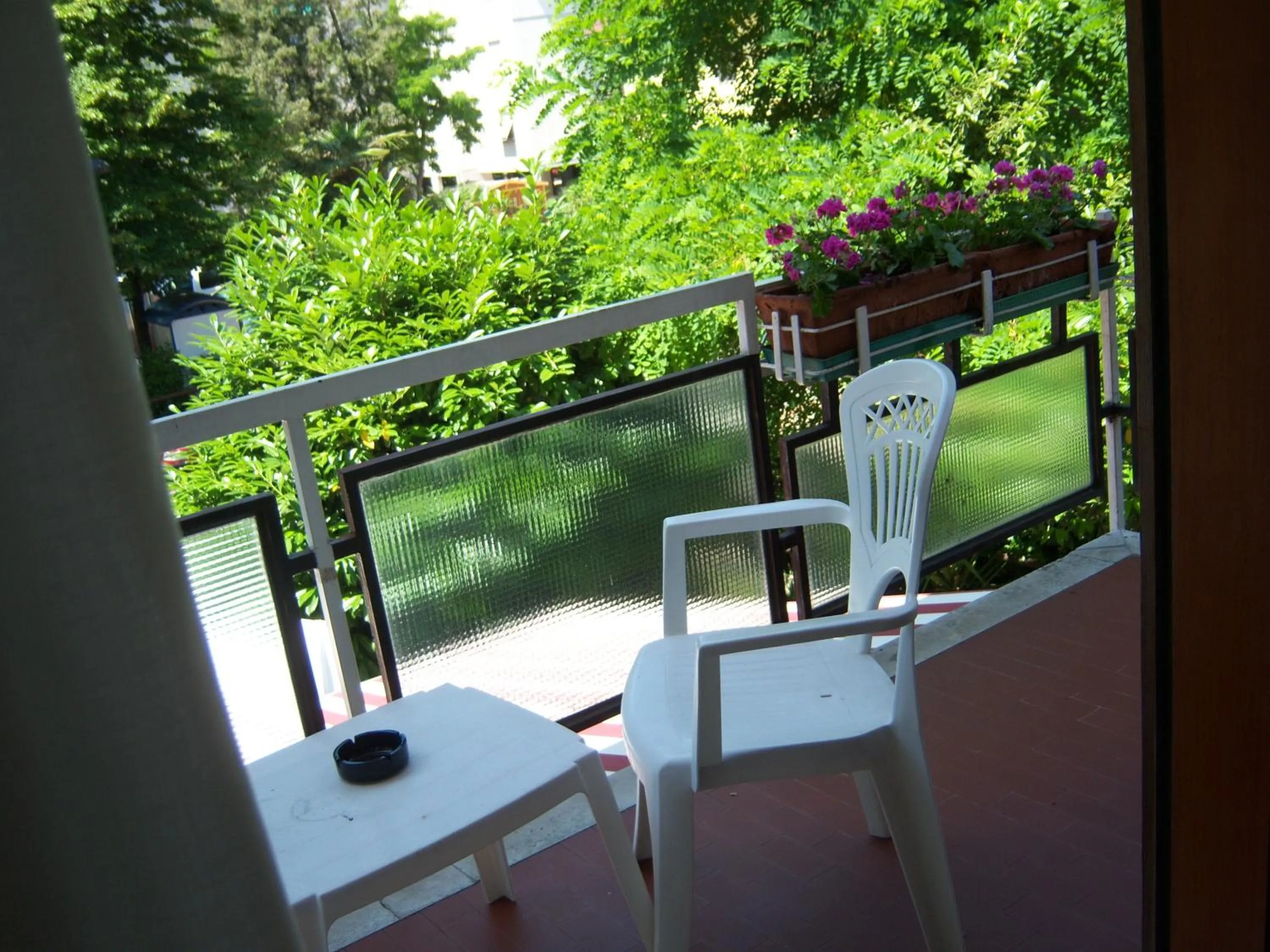 Day in Hotel Adriaco