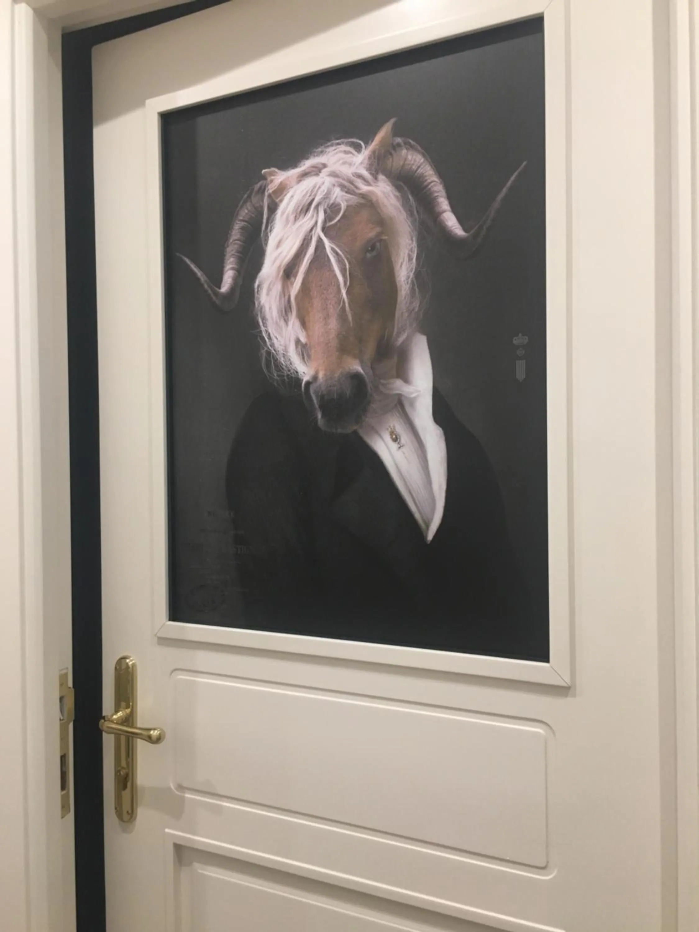 Eleventh Floor Suites