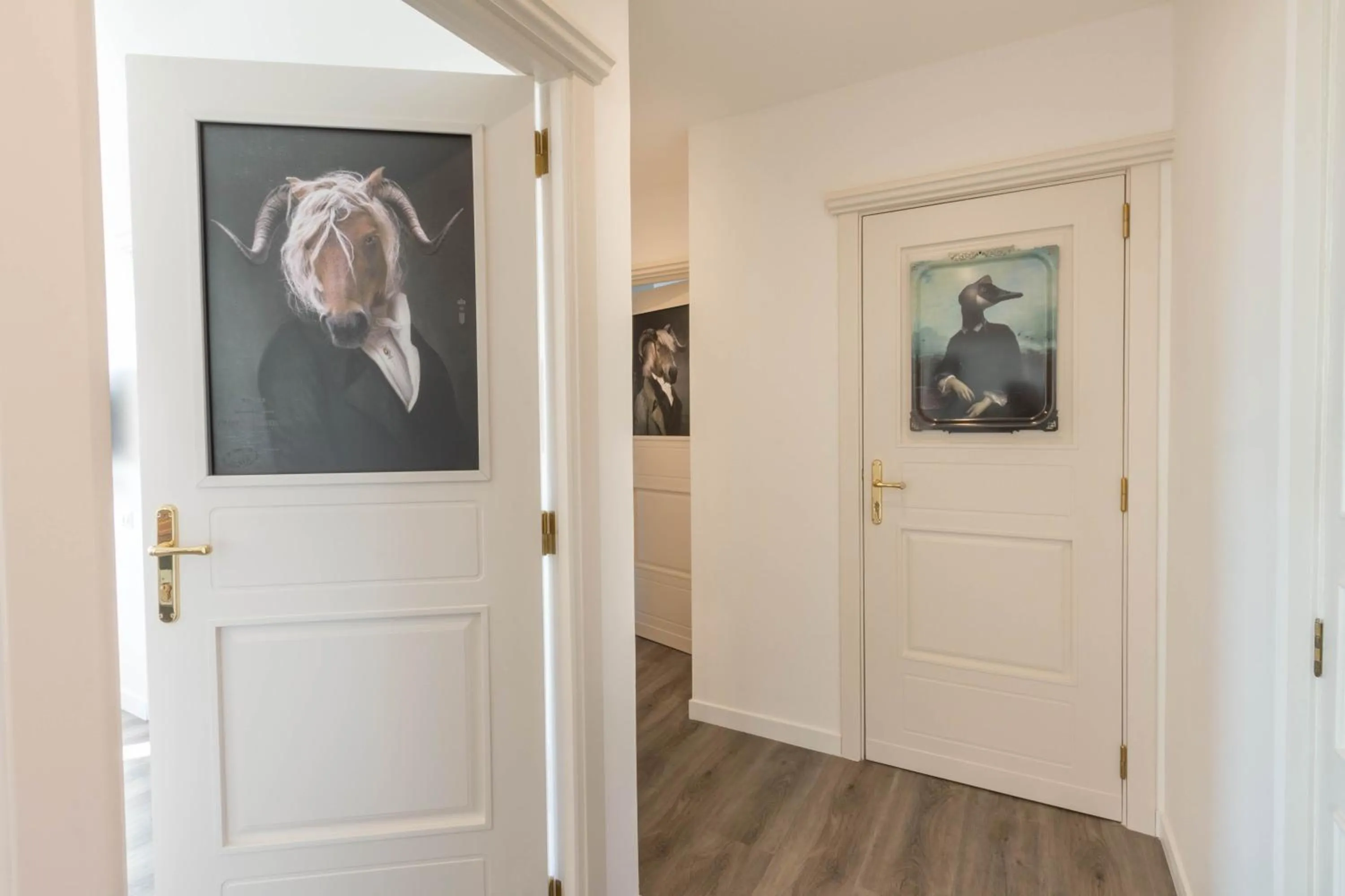 Eleventh Floor Suites