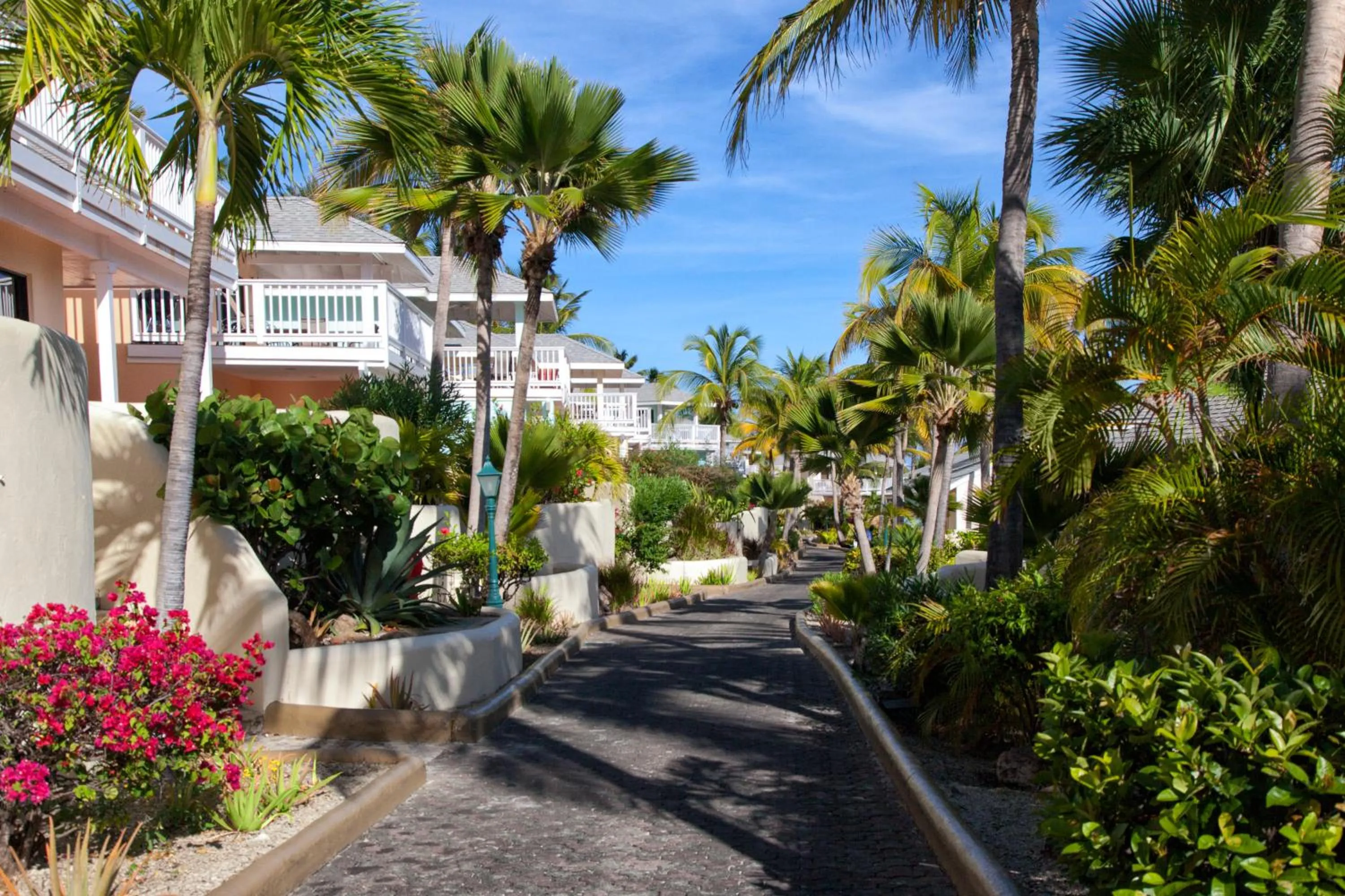 Property building in St. James's Club Resort - All Inclusive