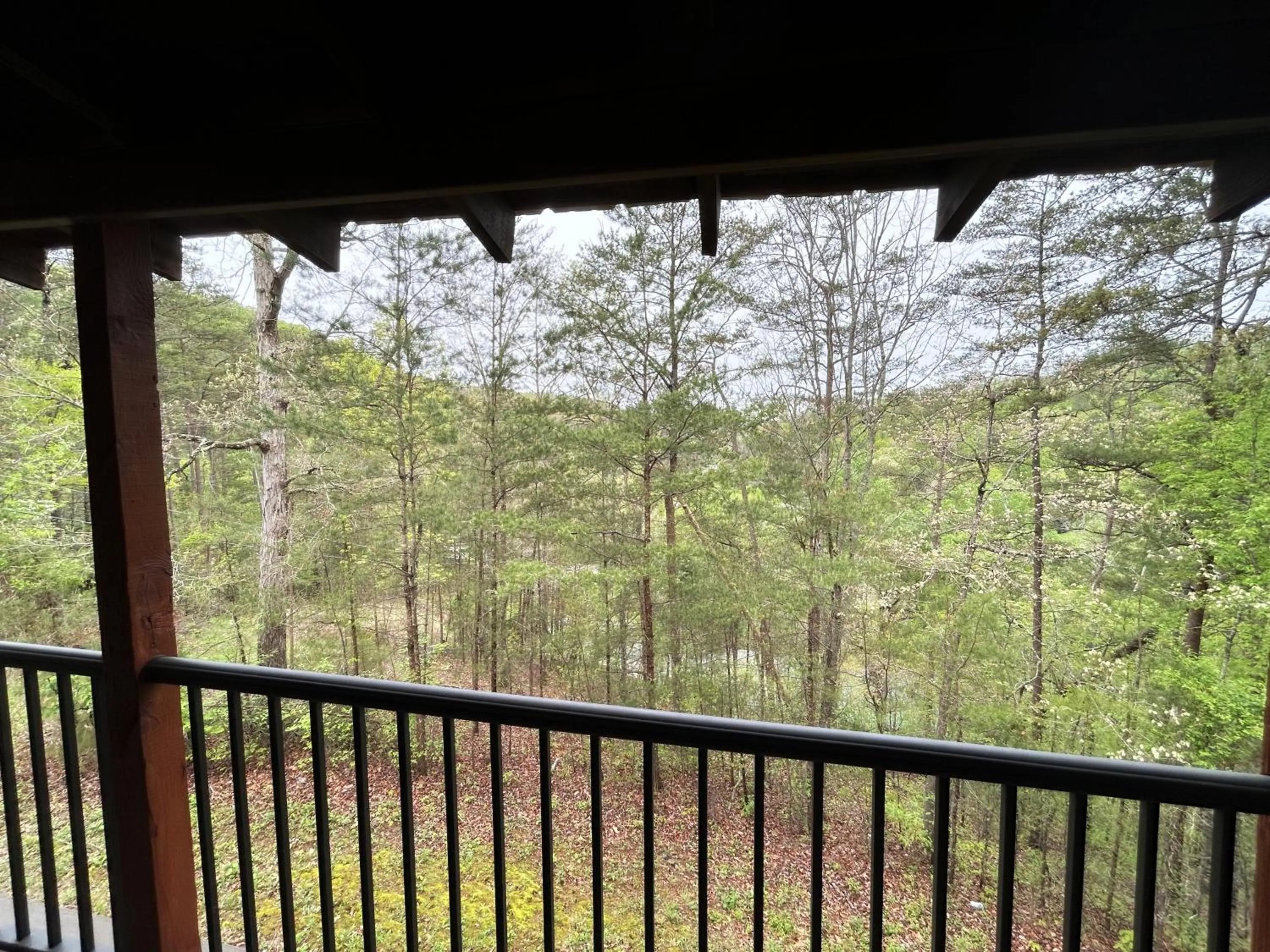 Mountain view in A Magical Experience