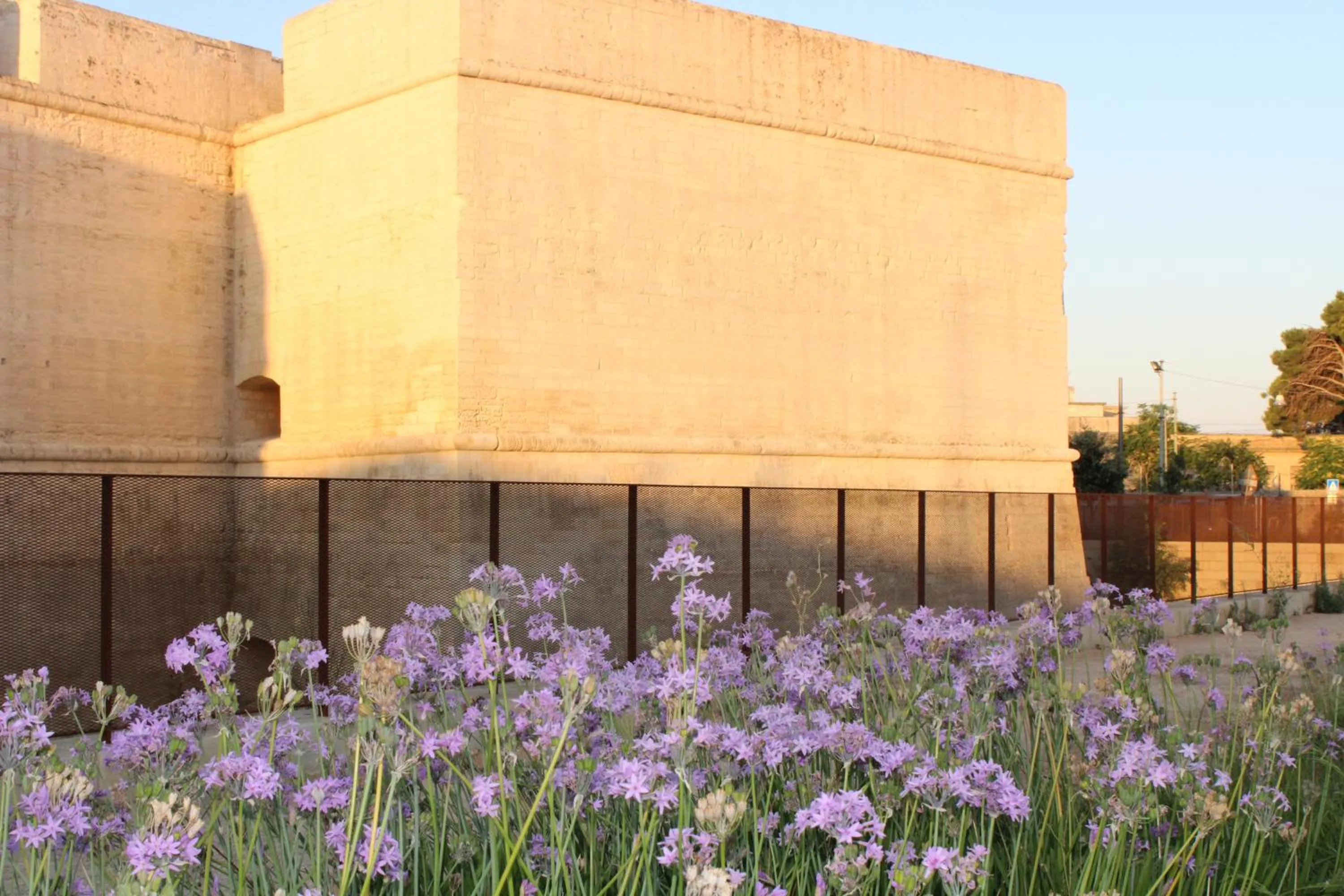 Nearby landmark in Porta Deuropa