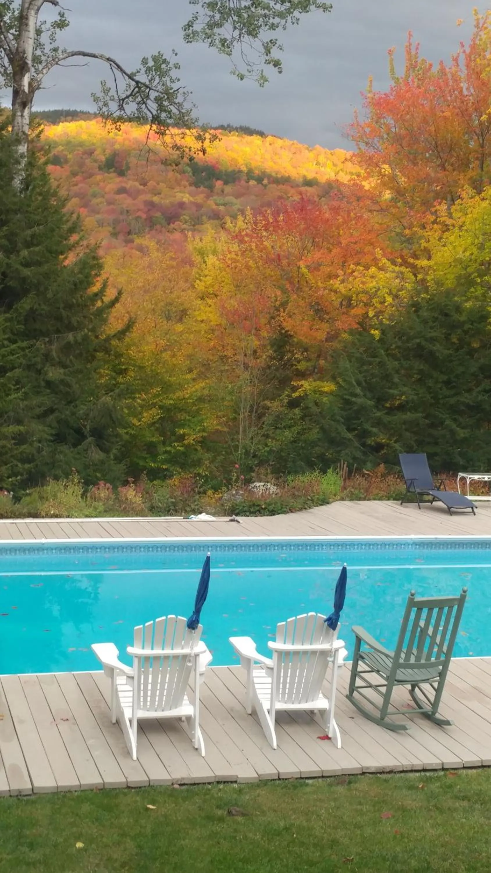 Pool view in Cricket Hill Lodging