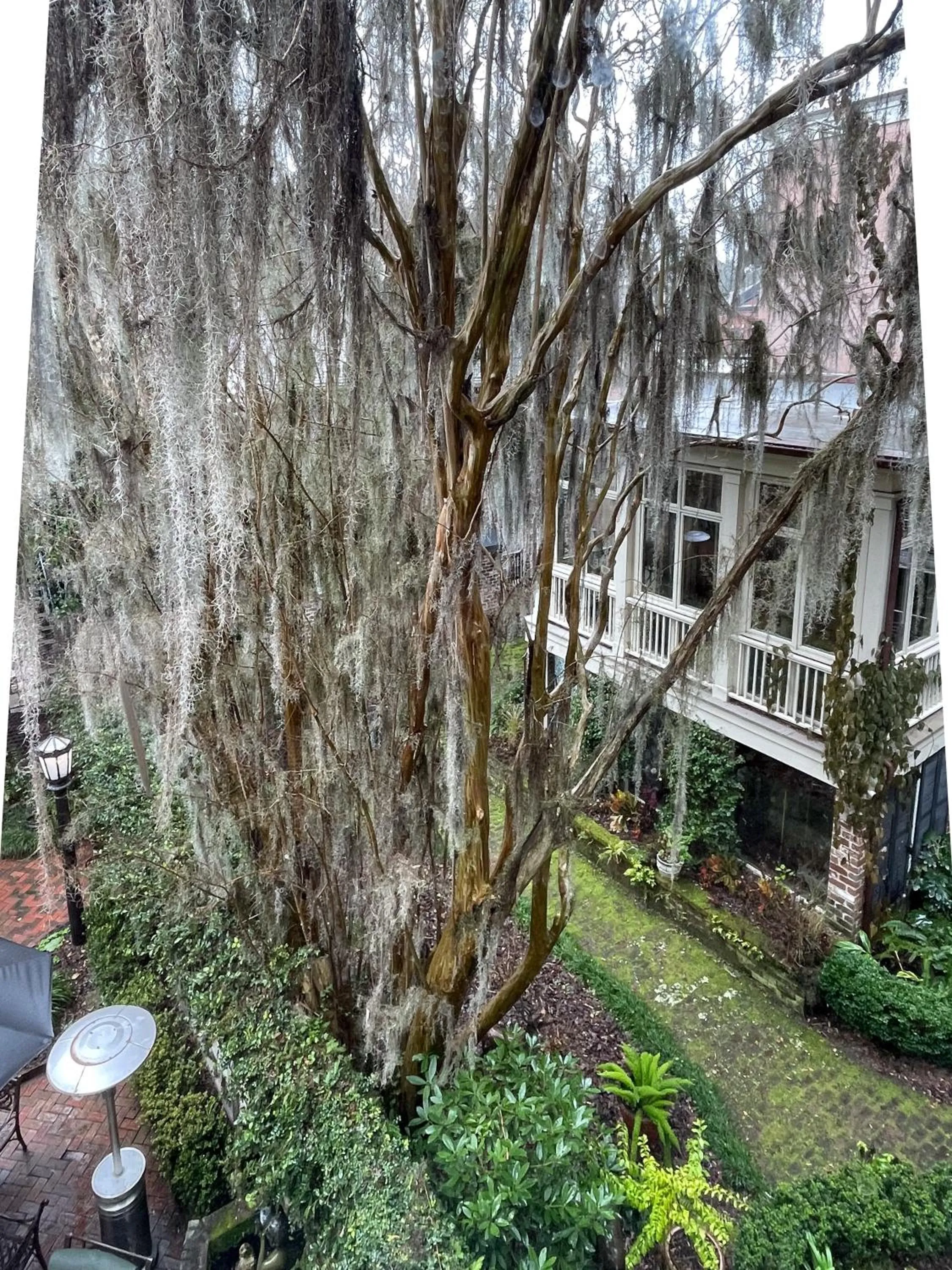 View (from property/room) in Eliza Thompson House, Historic Inns of Savannah Collection