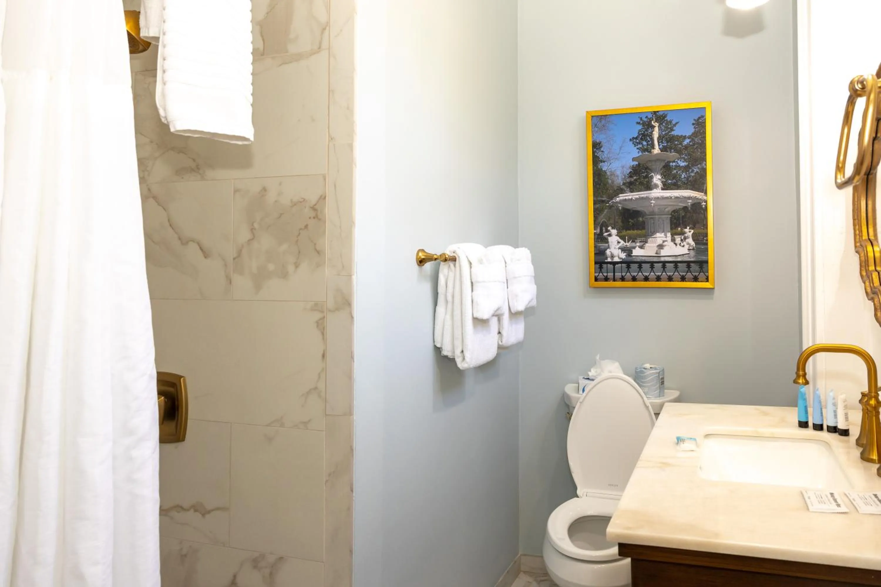 Toilet in Eliza Thompson House, Historic Inns of Savannah Collection