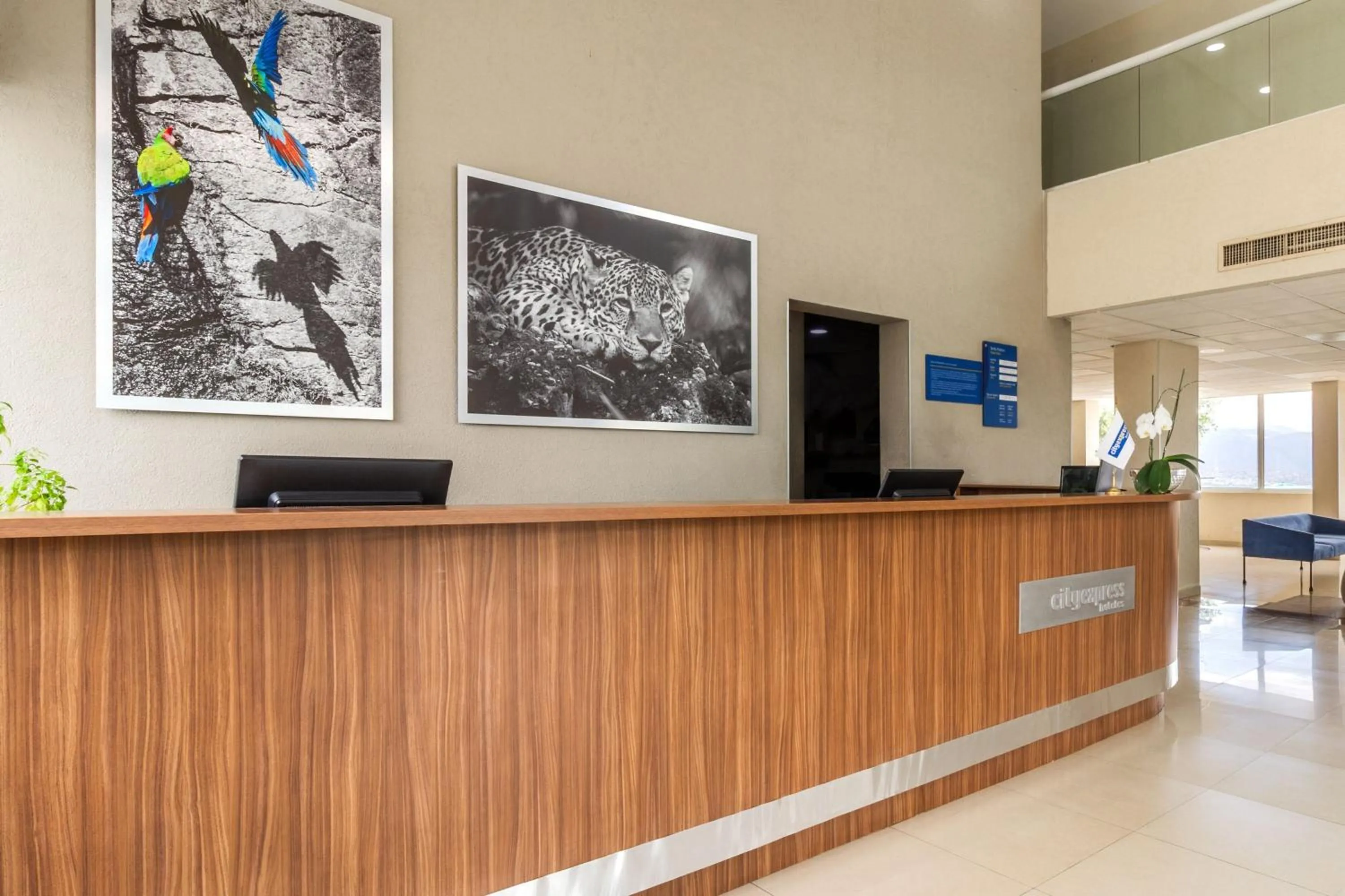 Lobby or reception in City Express by Marriott Tuxtla Gutiérrez