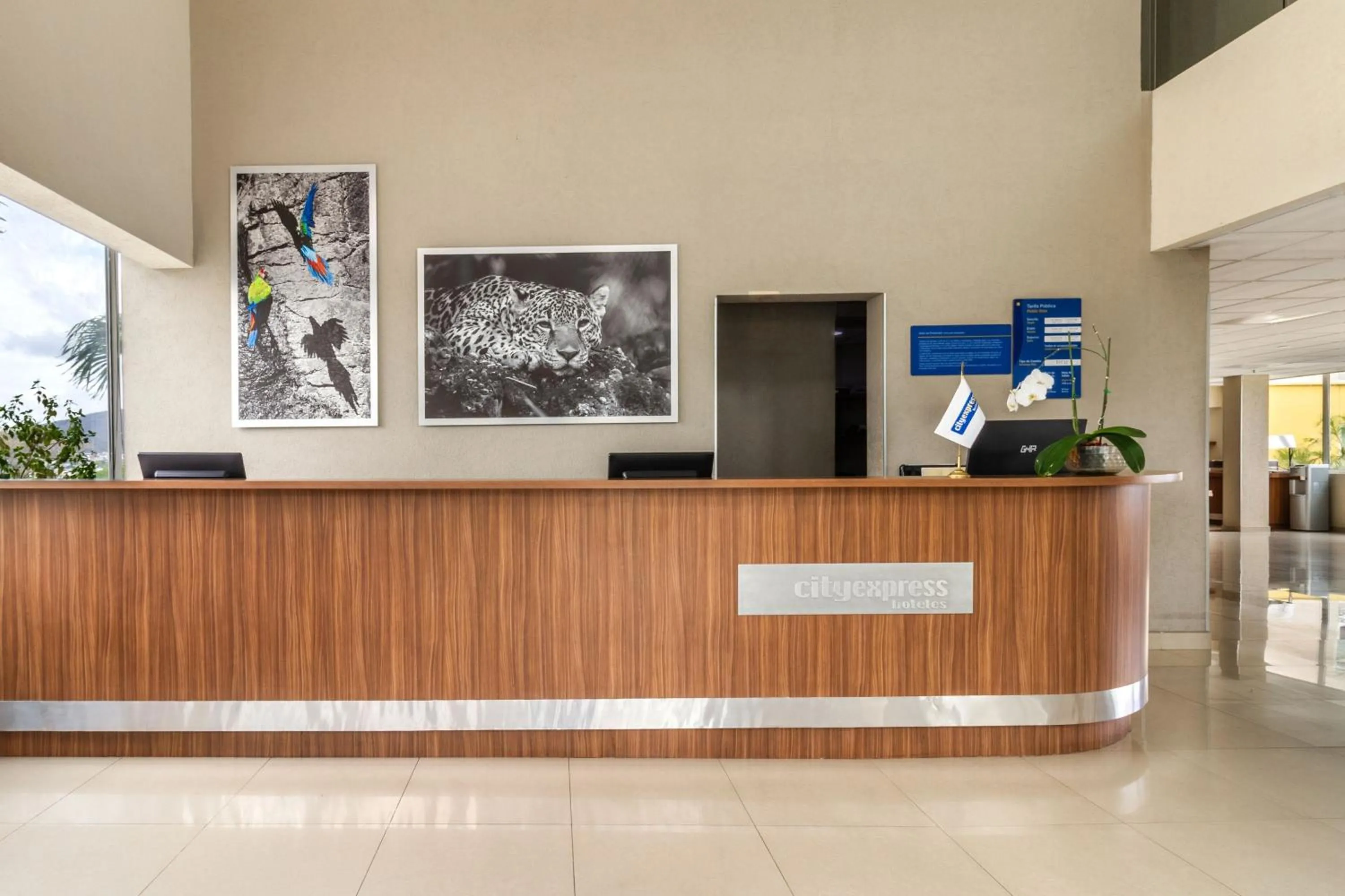 Lobby or reception in City Express by Marriott Tuxtla Gutiérrez