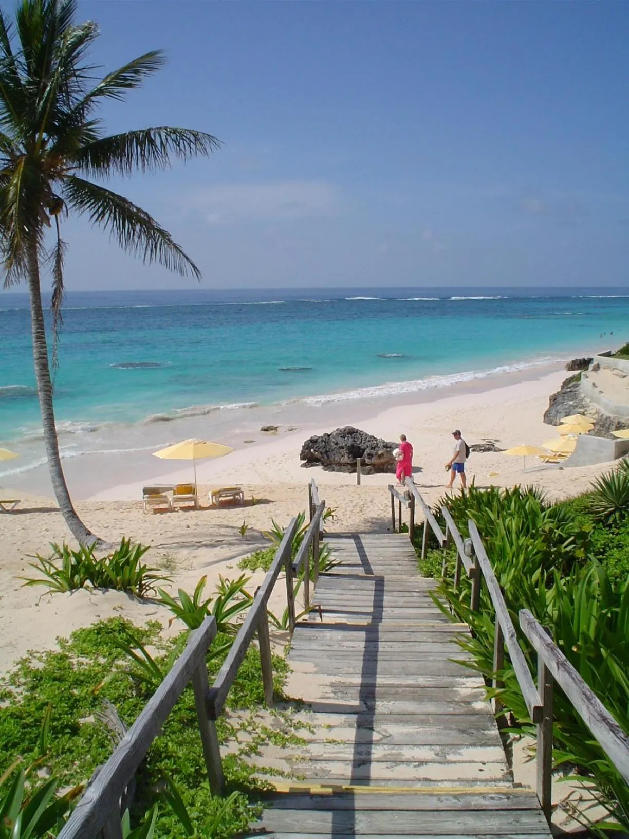Beach in Coco Reef Bermuda