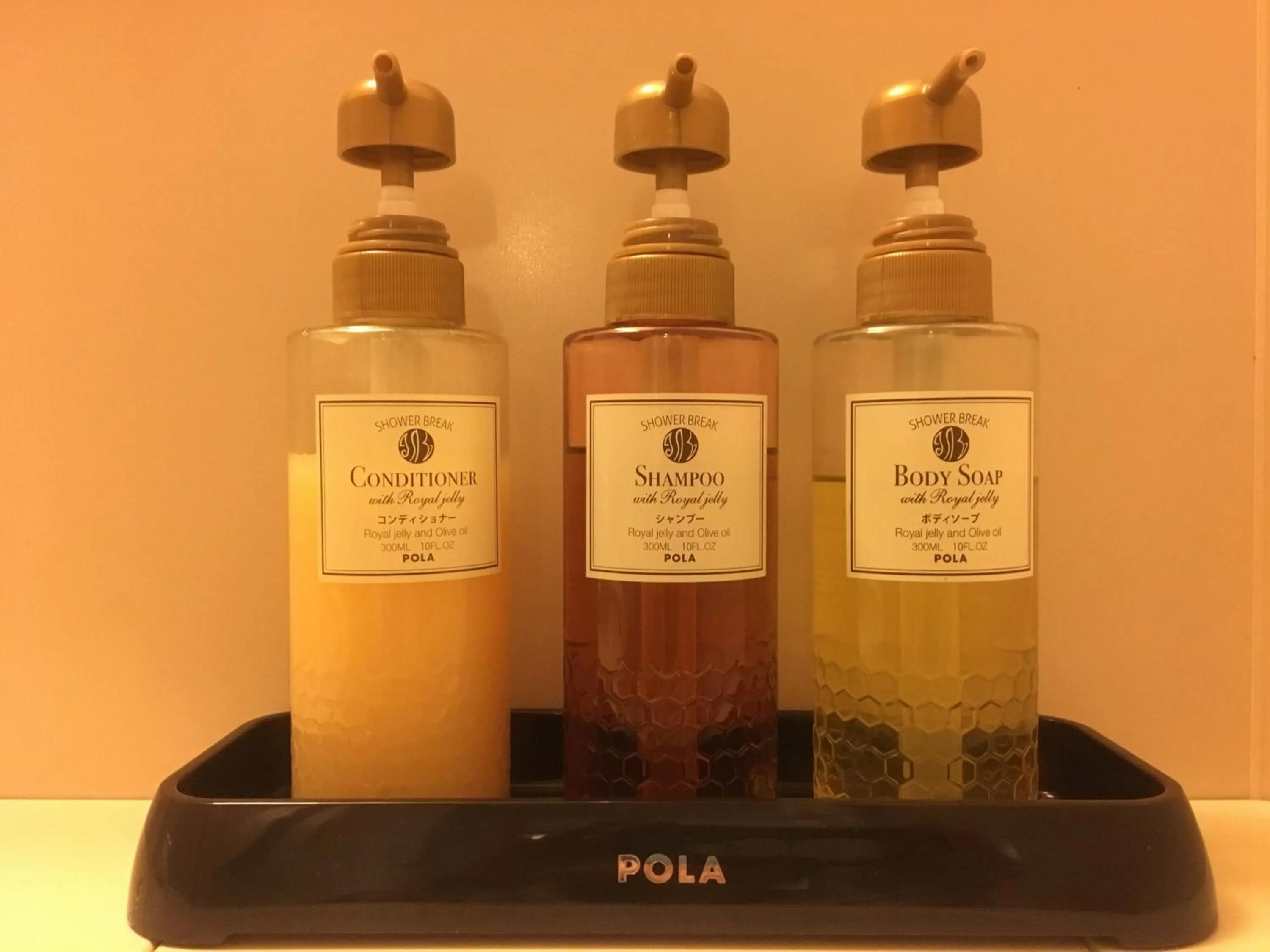 Other in Chitose Daiichi Hotel