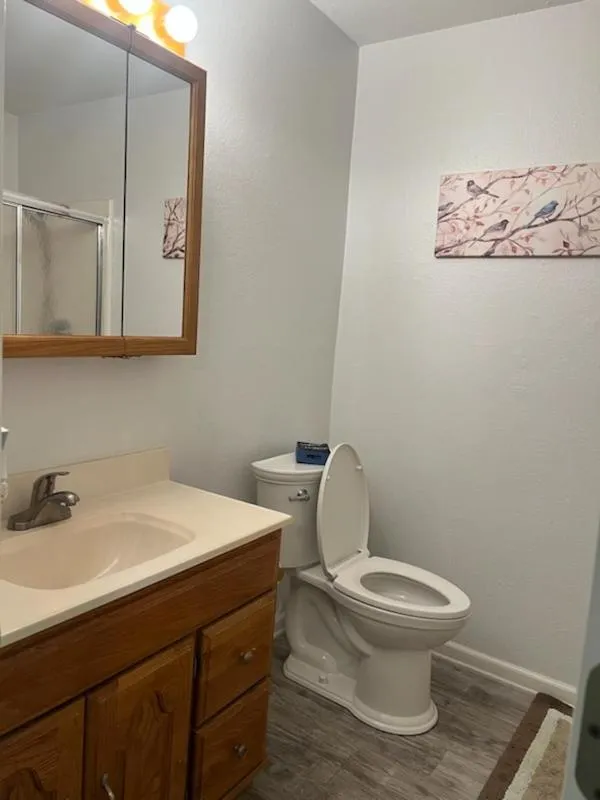 Bathroom in Secluded Home with Mini Waterfall and a Creek in Hot Springs