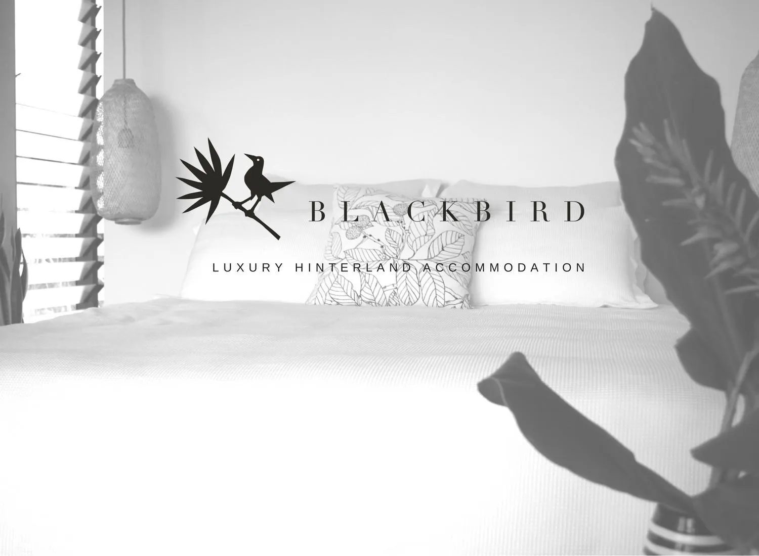 Blackbird Luxury Accommodation