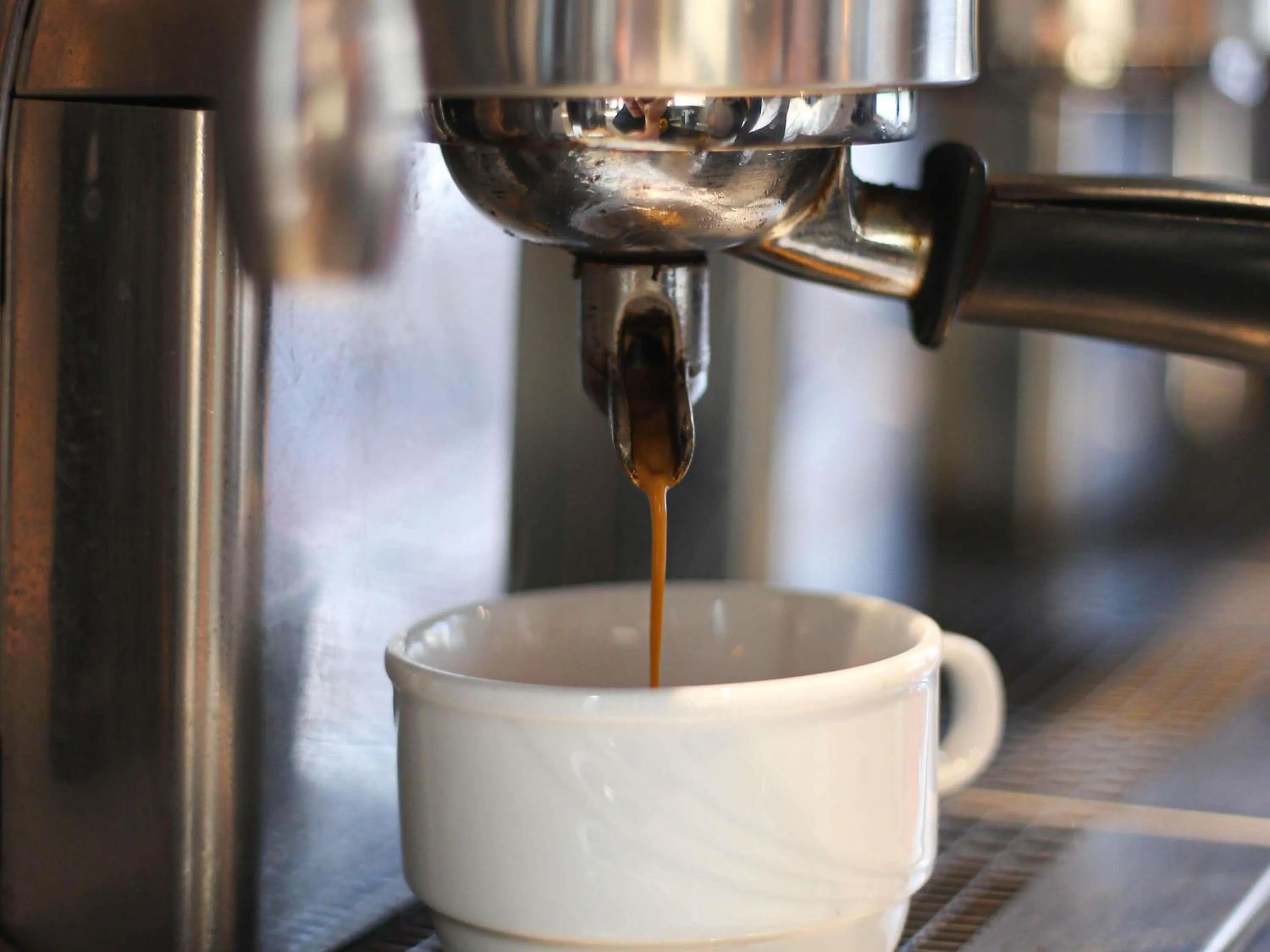 Lounge or bar in Ibis Sfax