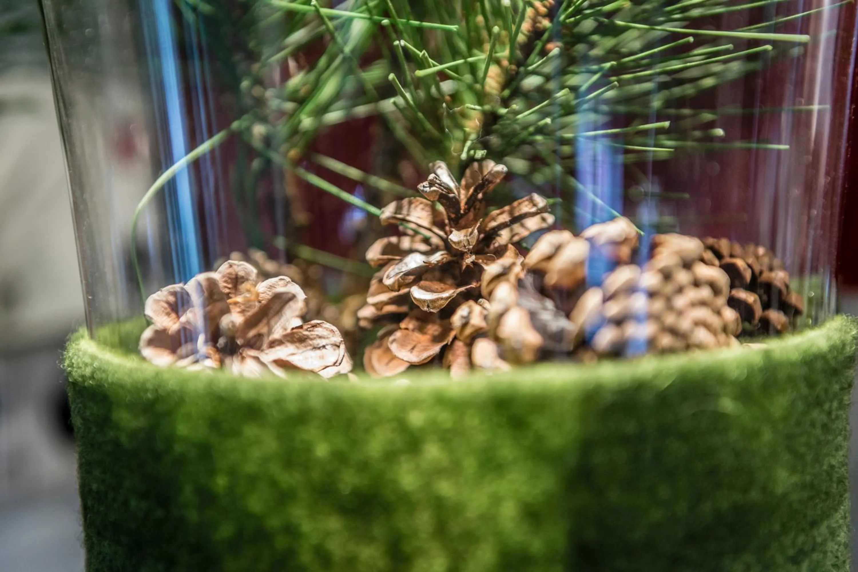 Other in Boutique Hotel Am Park