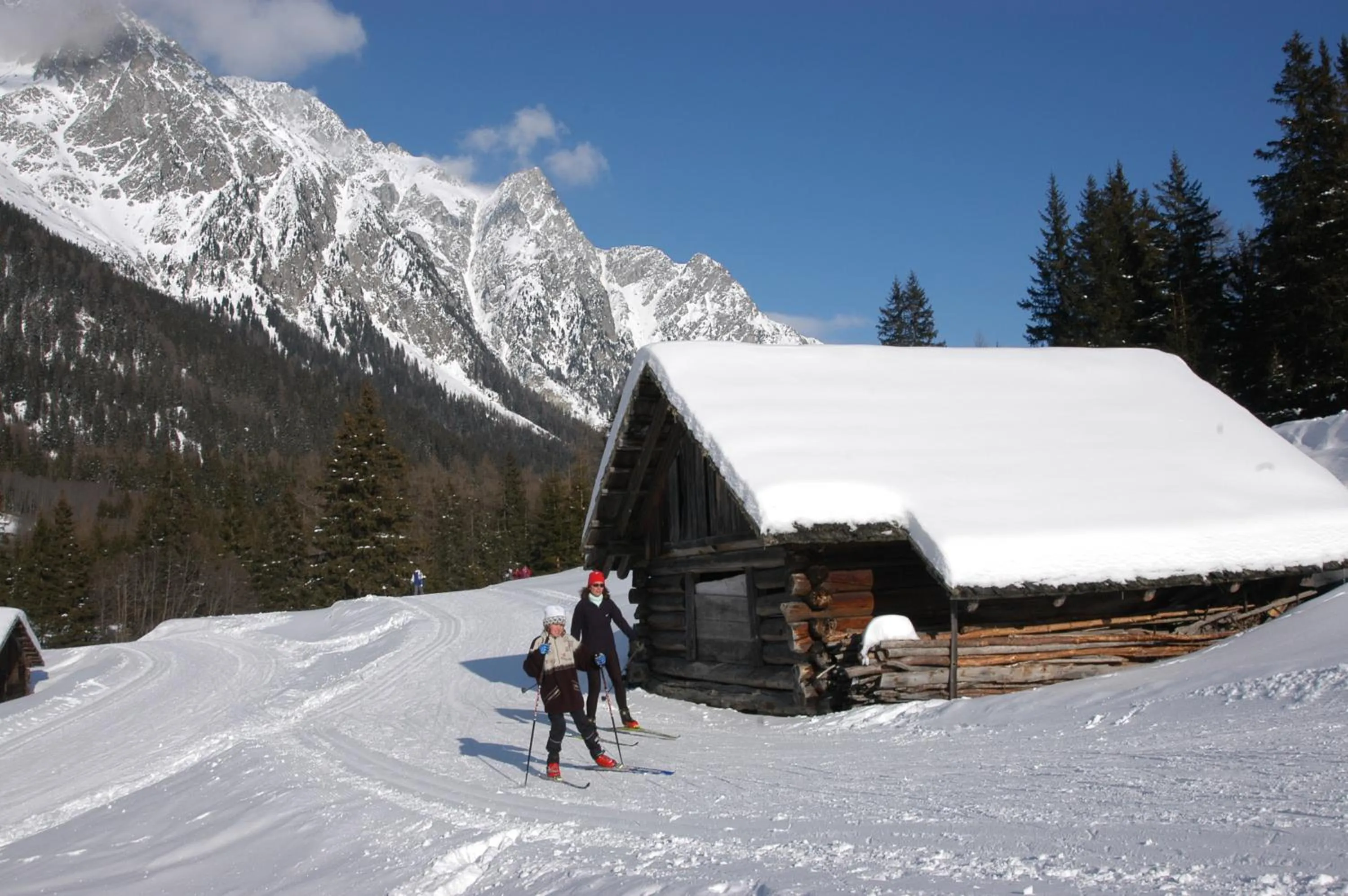 Skiing in Boutique Hotel Am Park