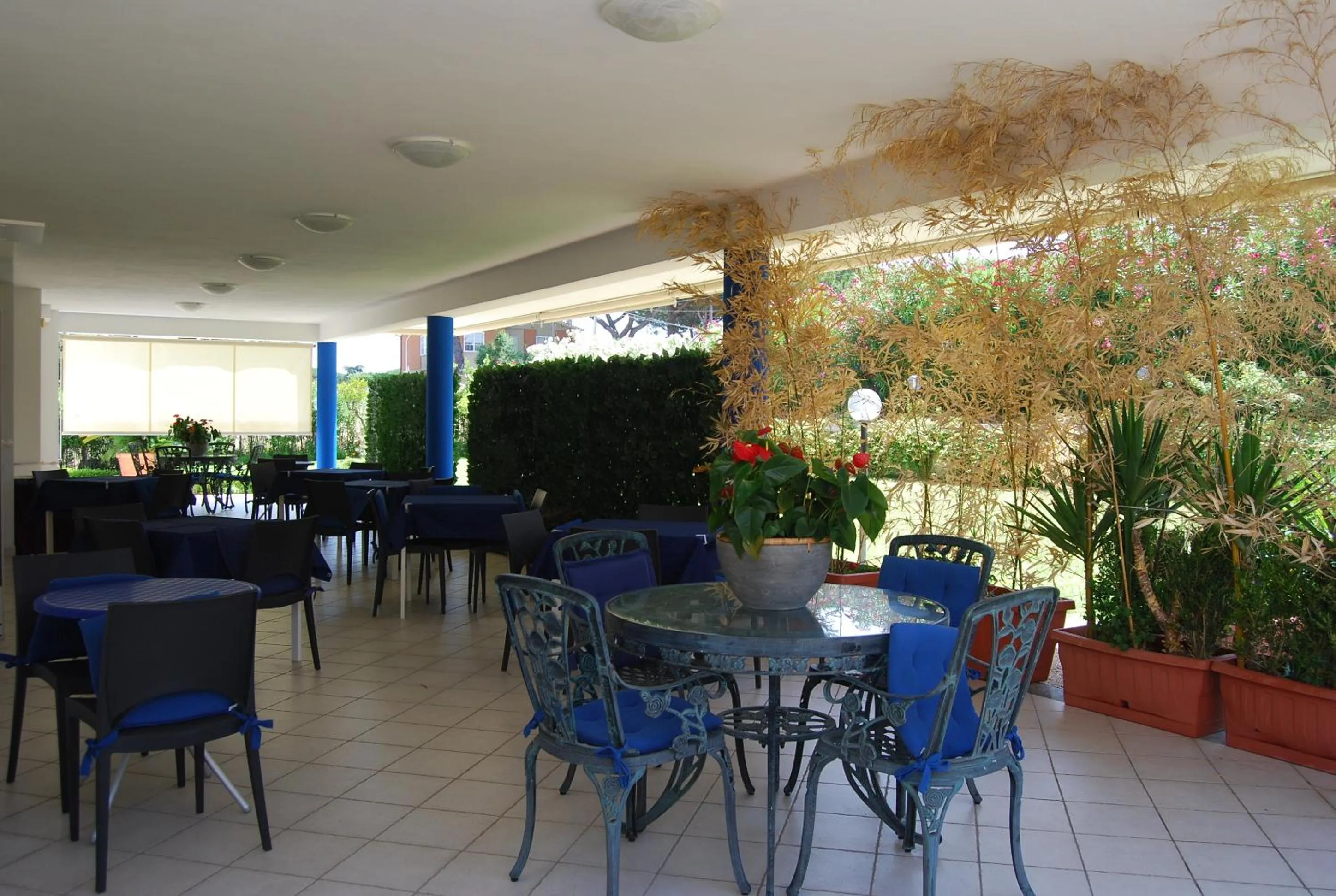 Patio in Telma Hotel
