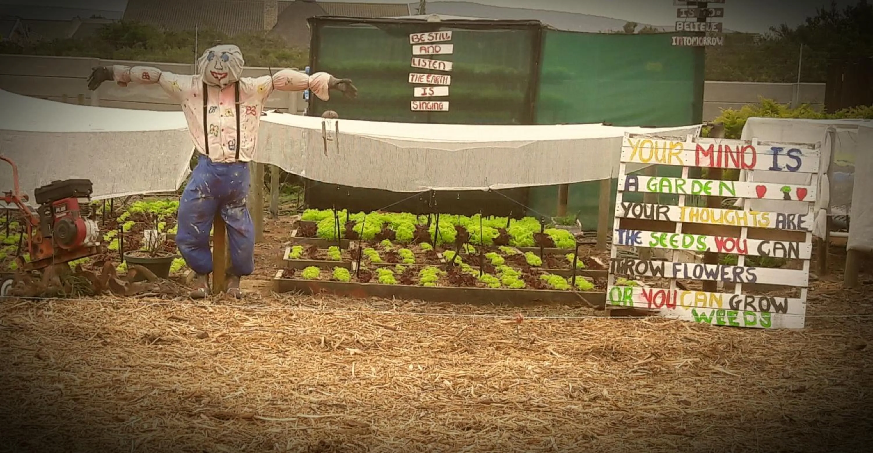 Property building in Little Sister's