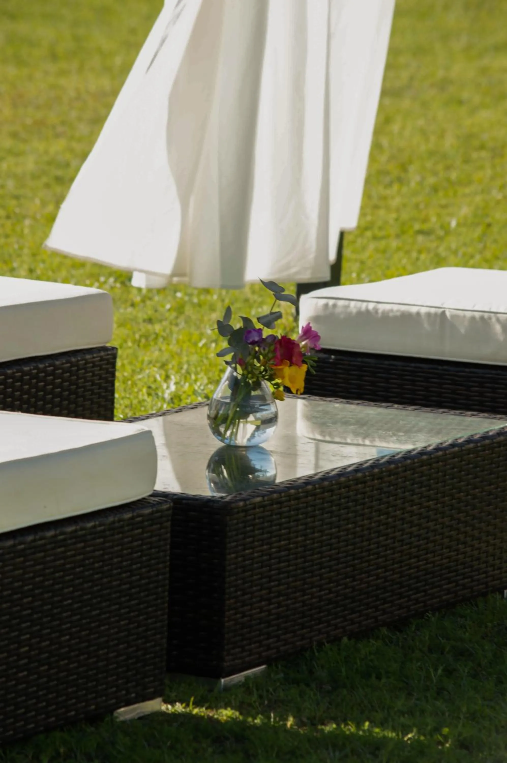 Garden in Hathor Concordia