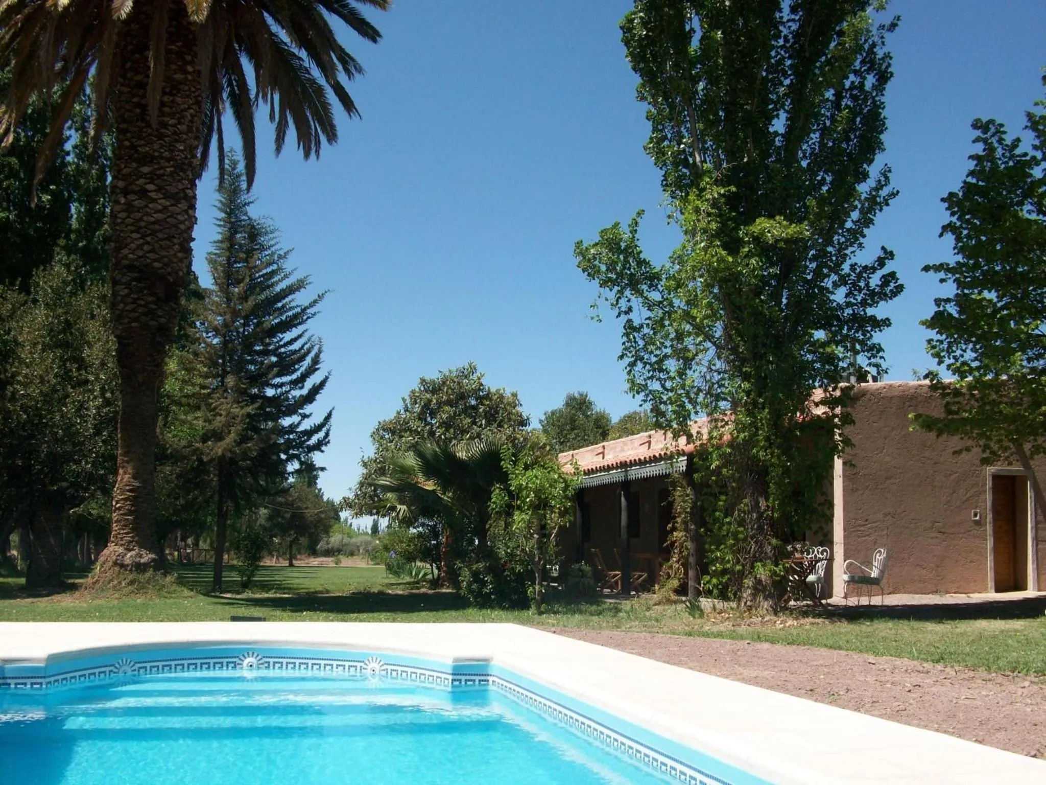 Swimming pool in Posada Cavieres Wine Farm