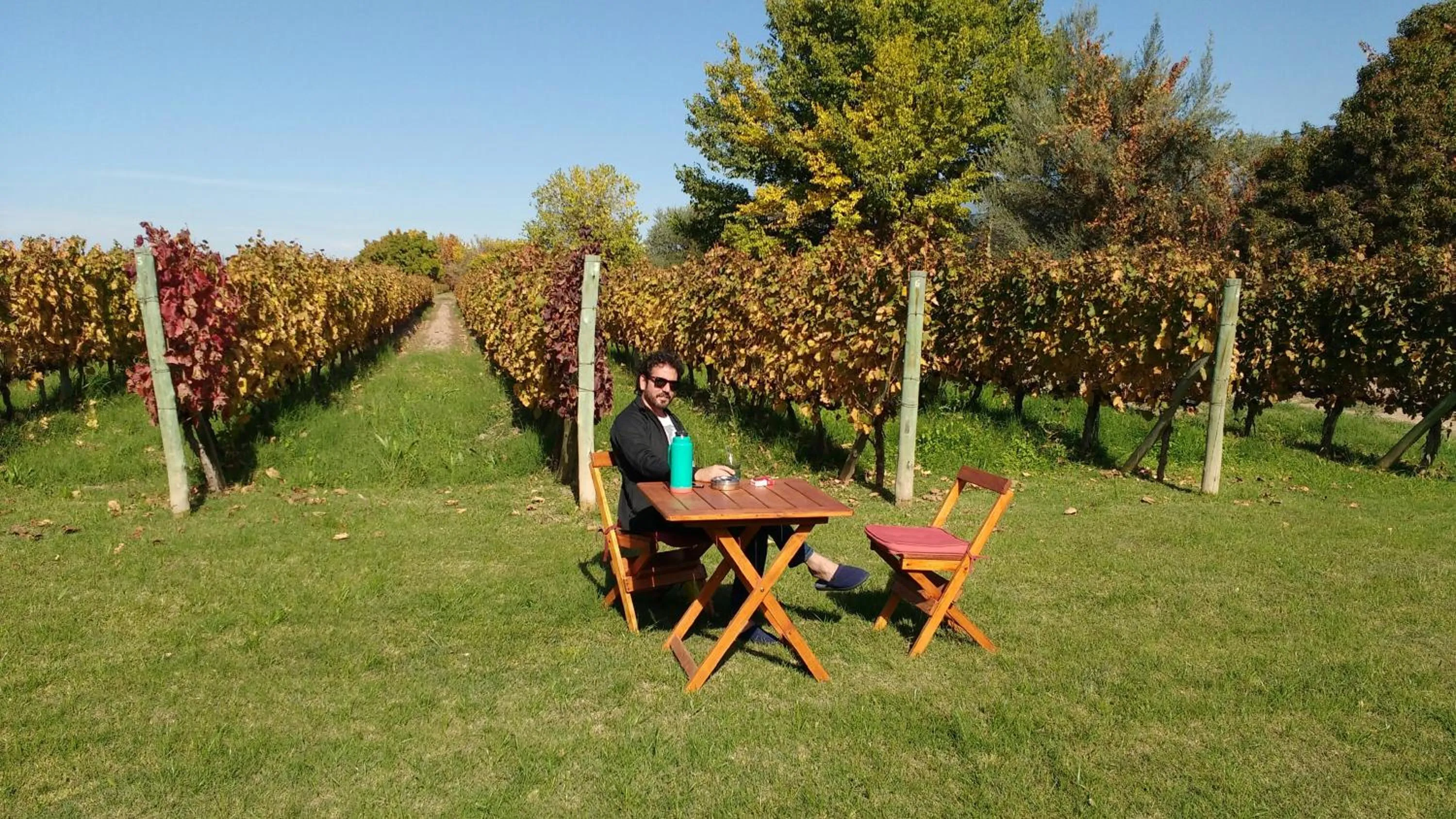 Garden in Posada Cavieres Wine Farm