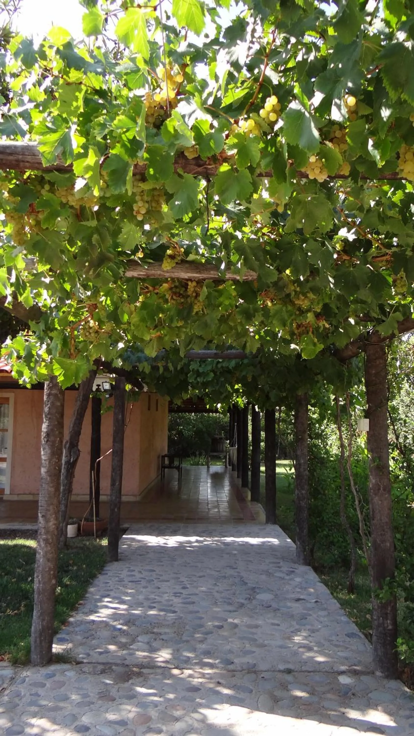 Facade/entrance in Posada Cavieres Wine Farm