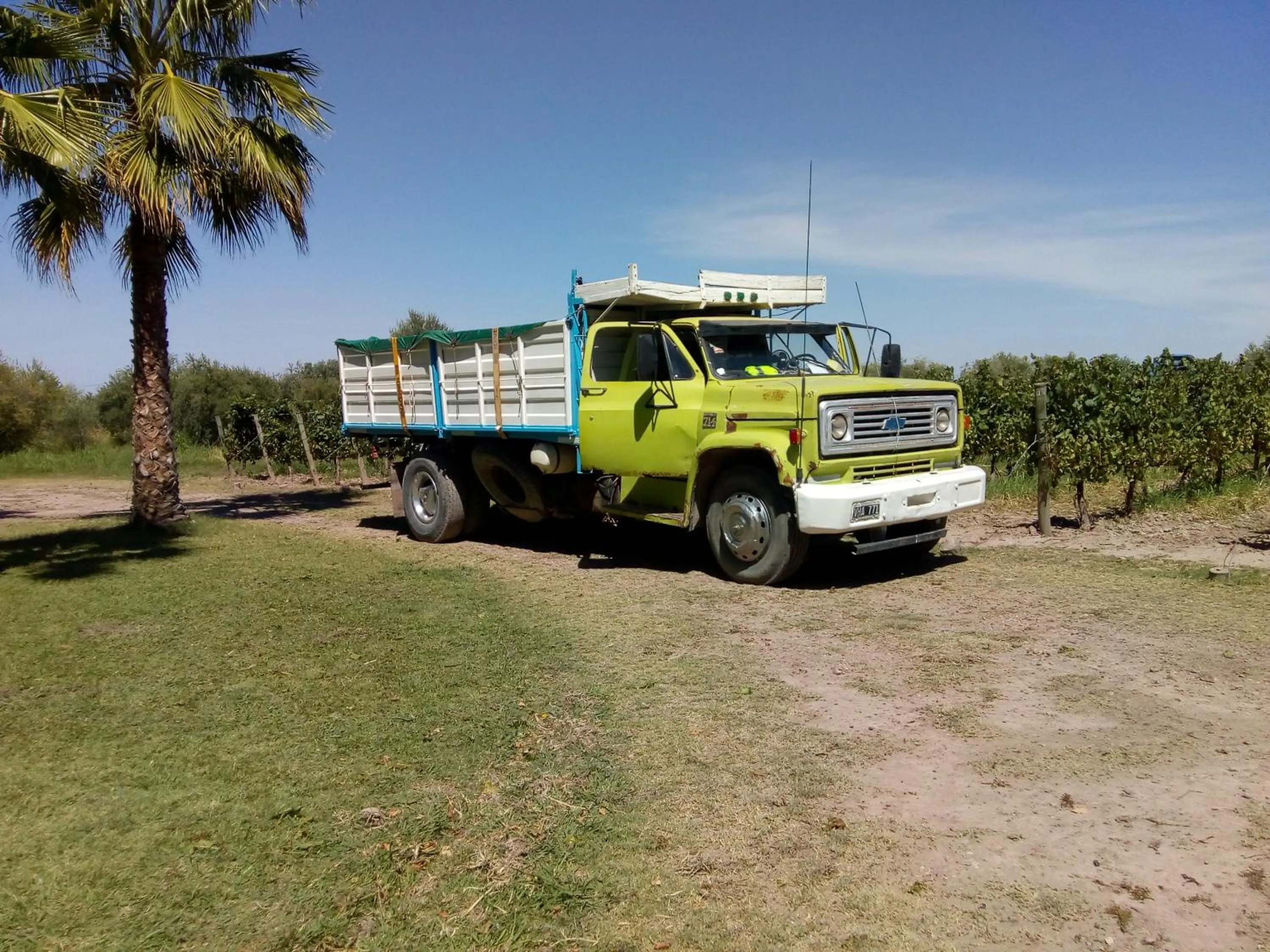 Activities in Posada Cavieres Wine Farm