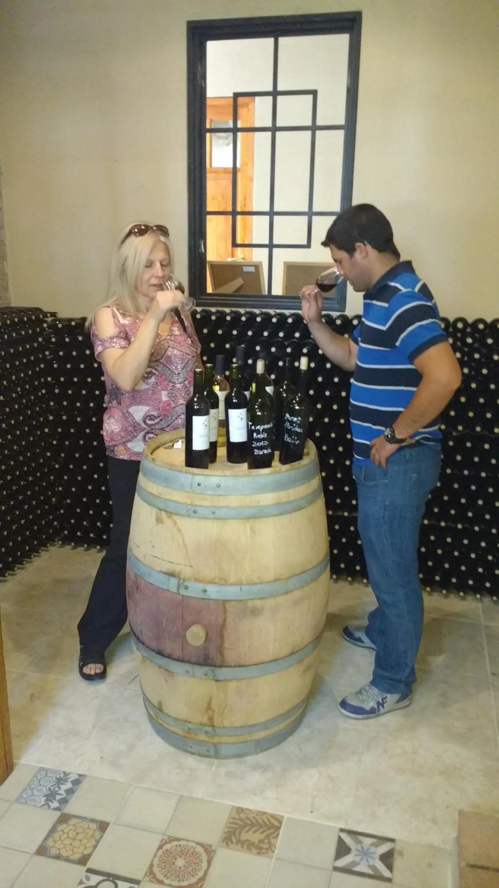 Property building in Posada Cavieres Wine Farm