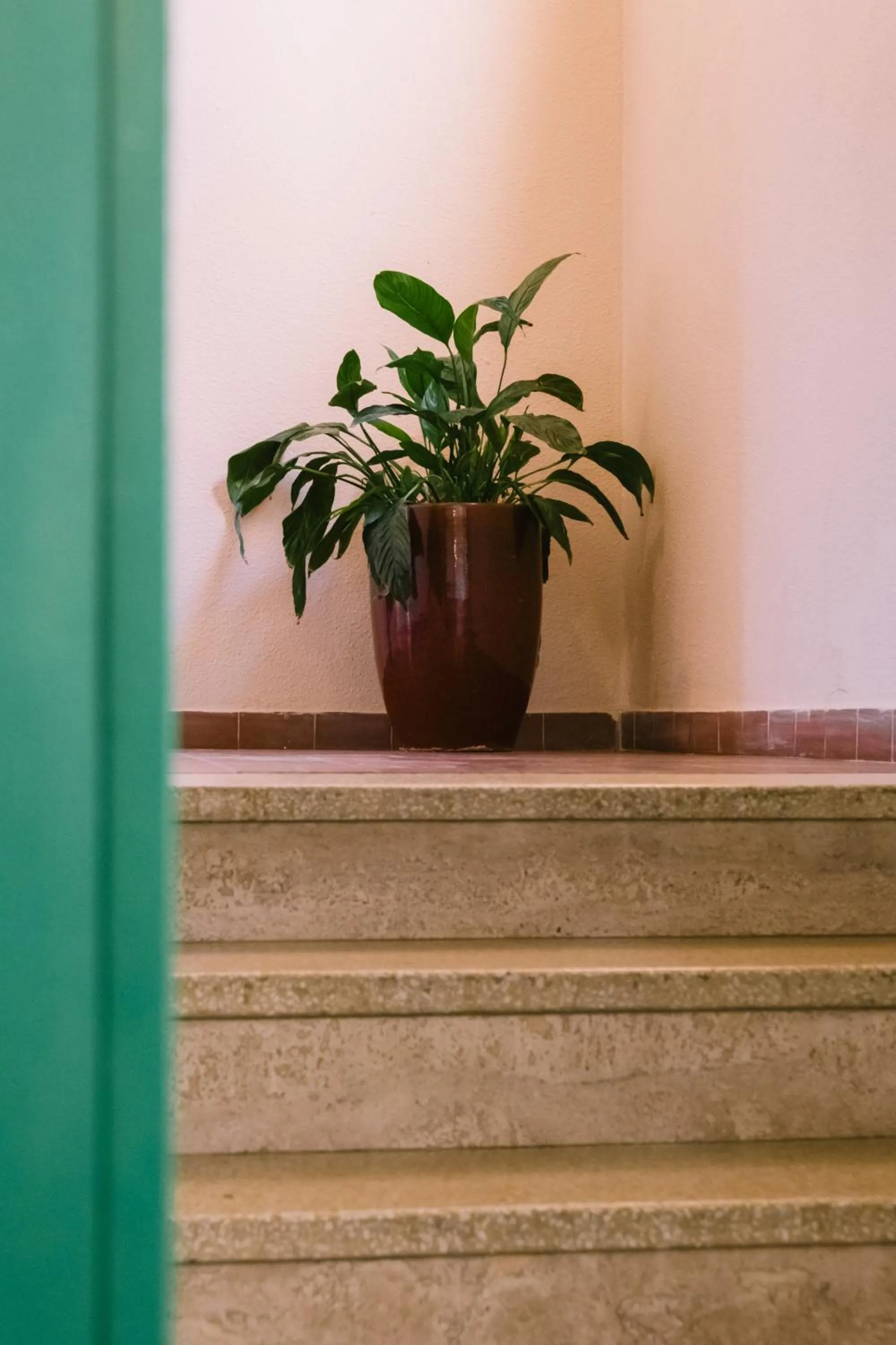 Property building in Creste E Mare