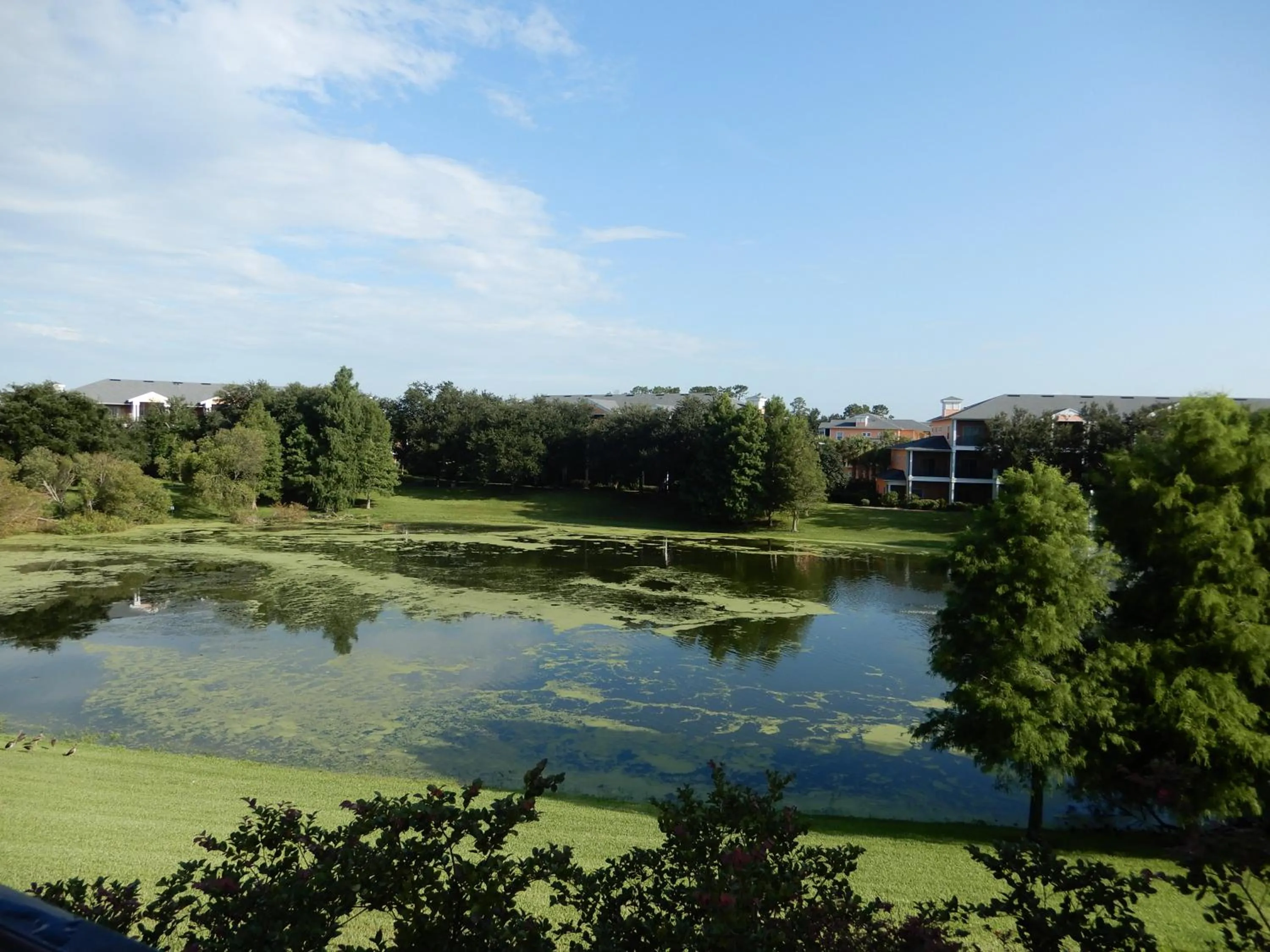 Property building in Bahama Bay