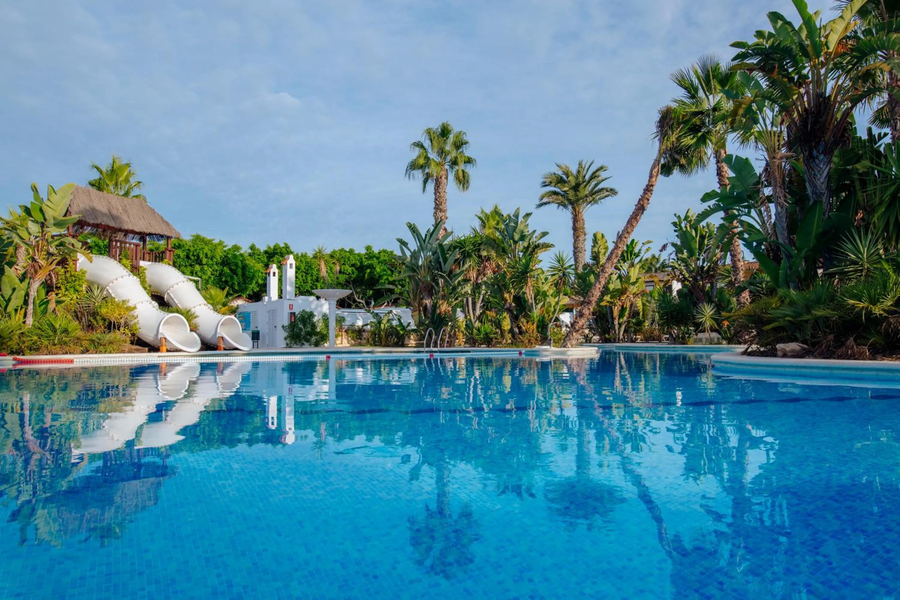 Swimming pool in Alannia Guardamar