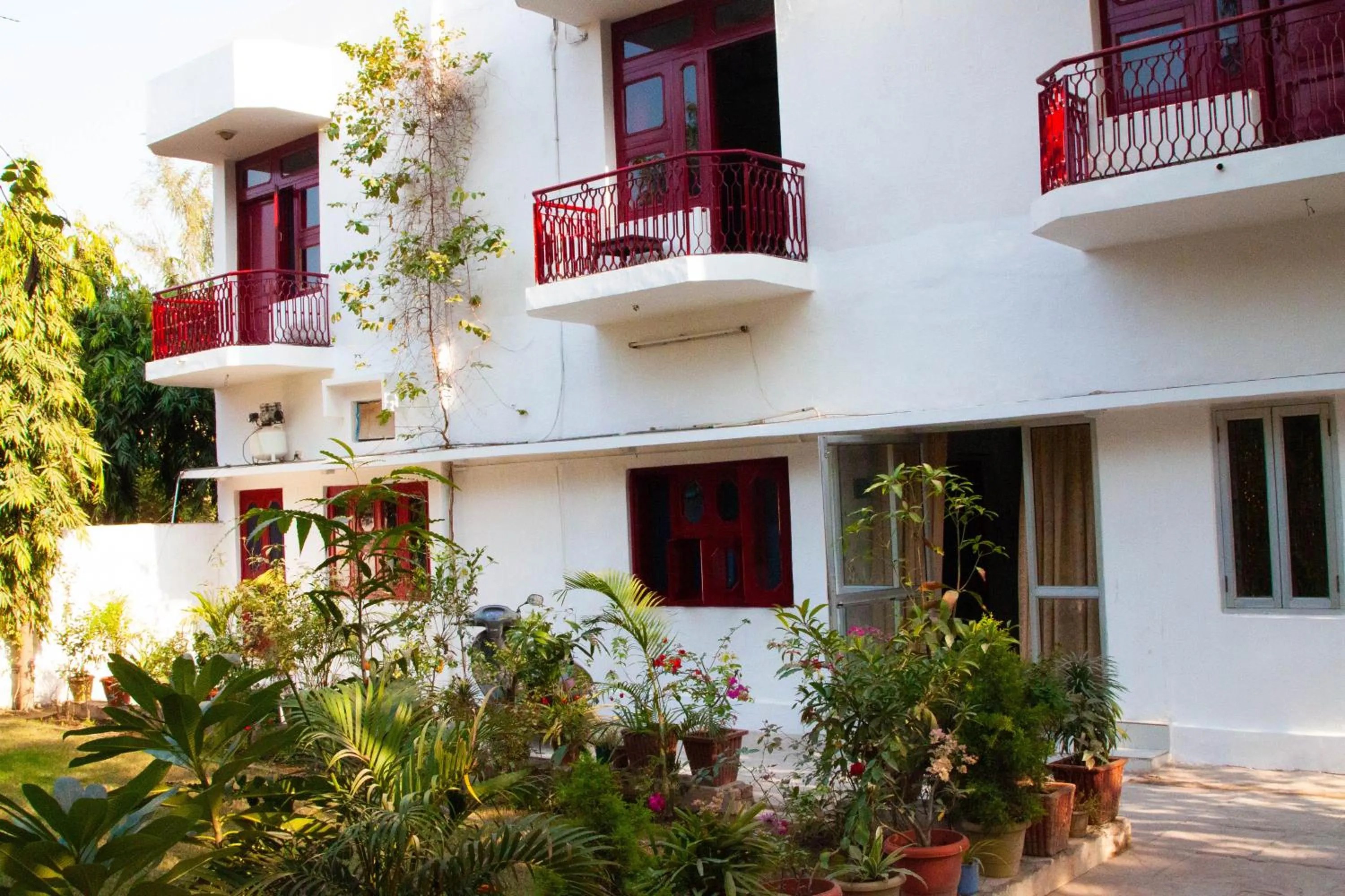 Falcon guest house