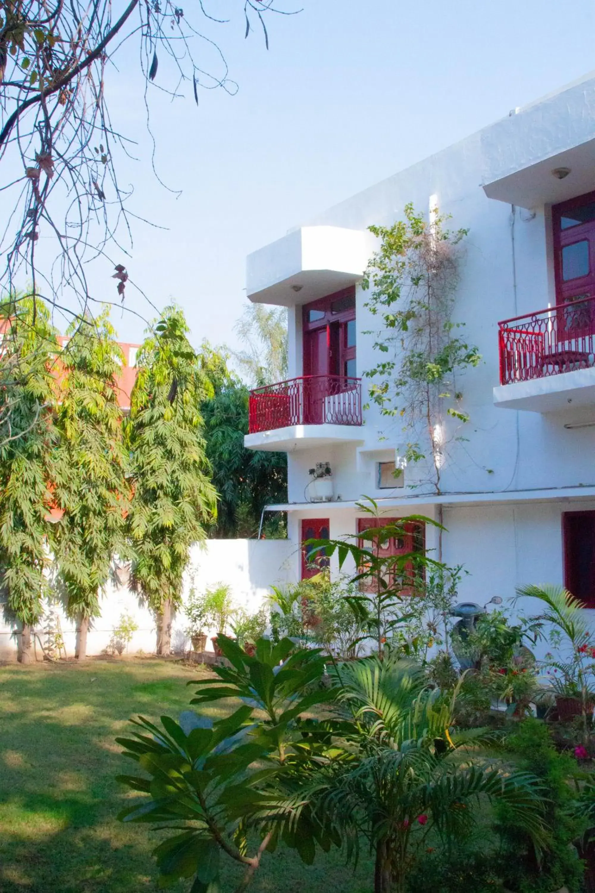 Falcon guest house Falcon guest house