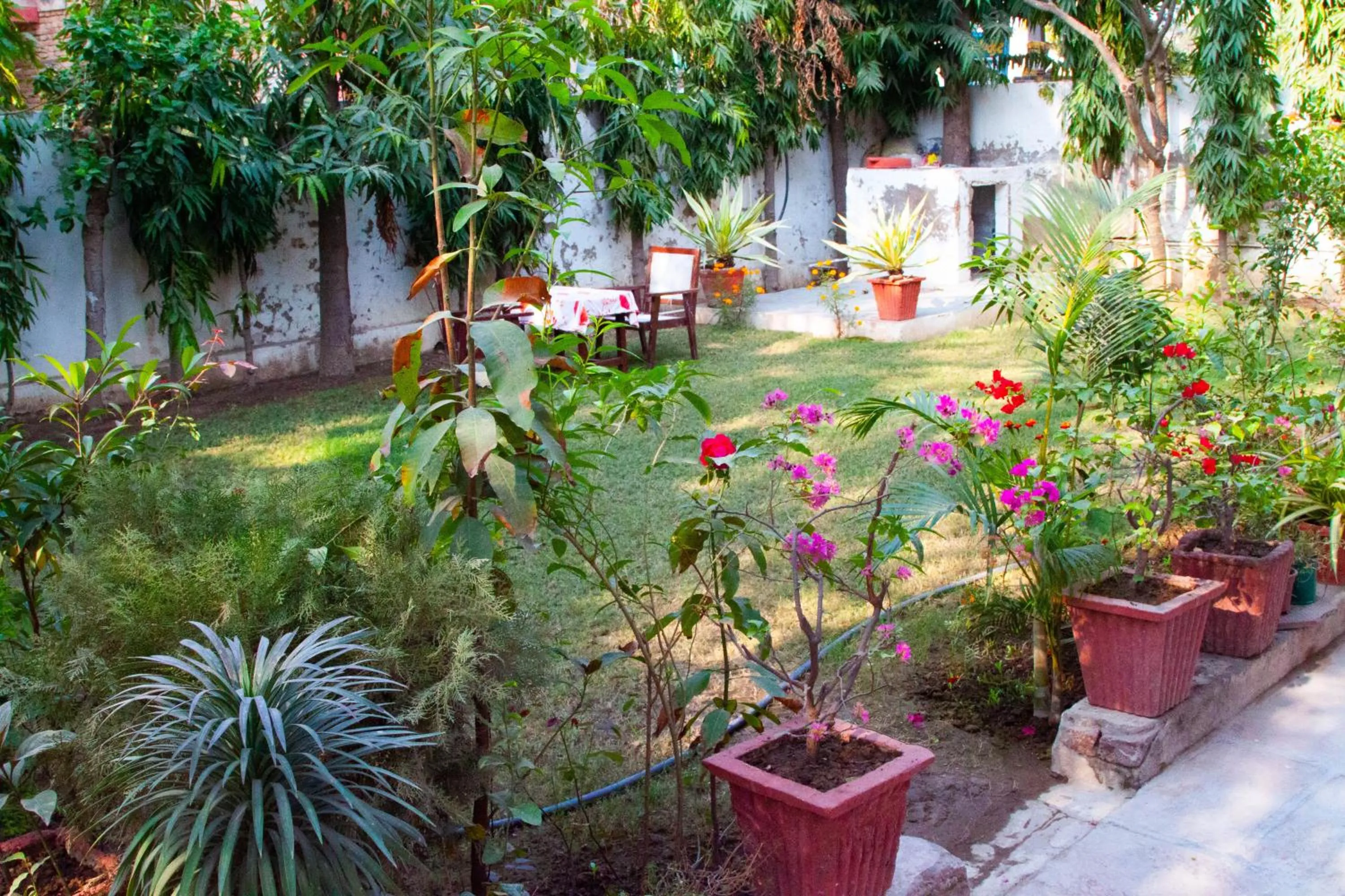 Falcon guest house
