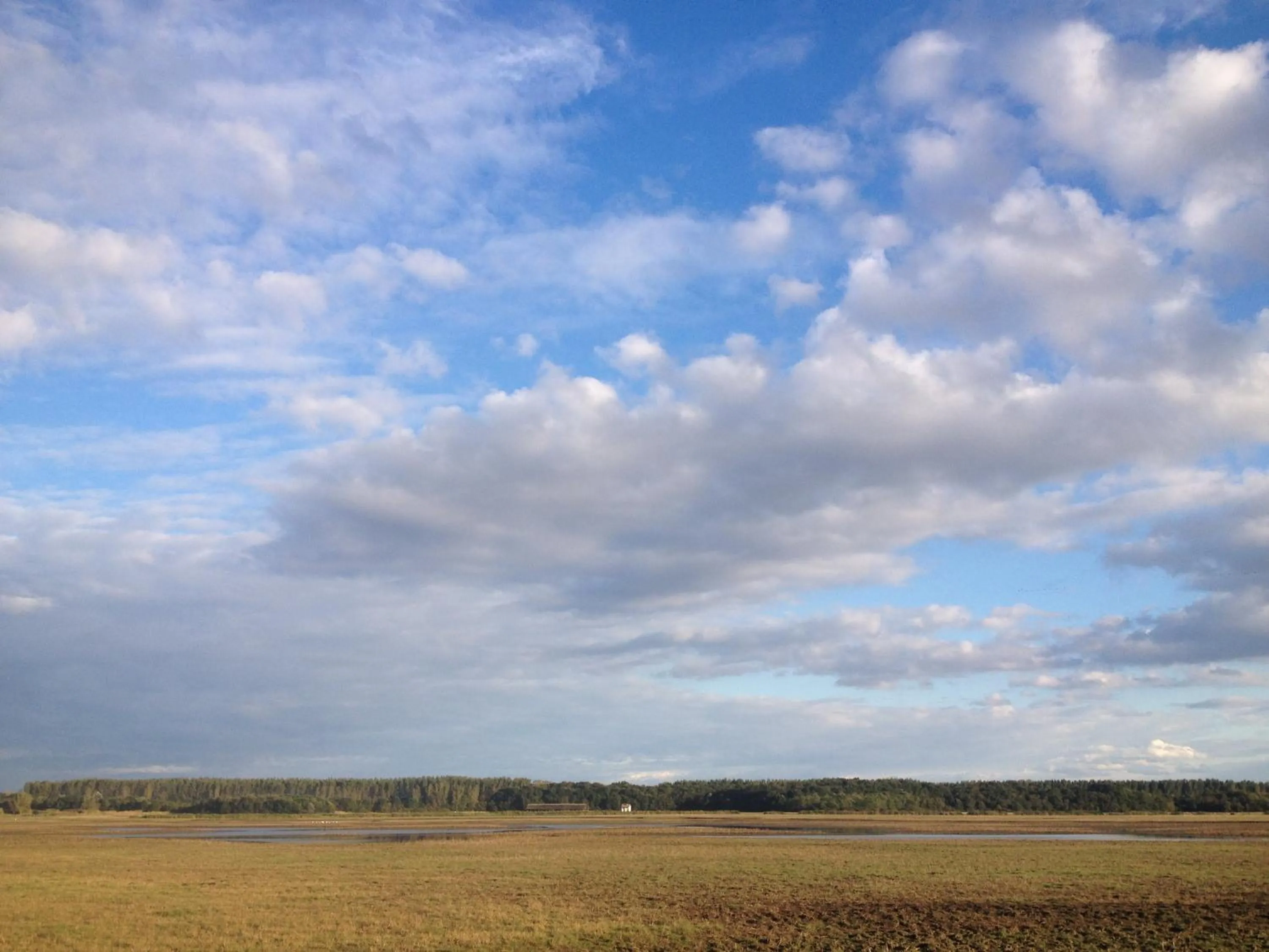 Summer in Bibic Nature Lodge