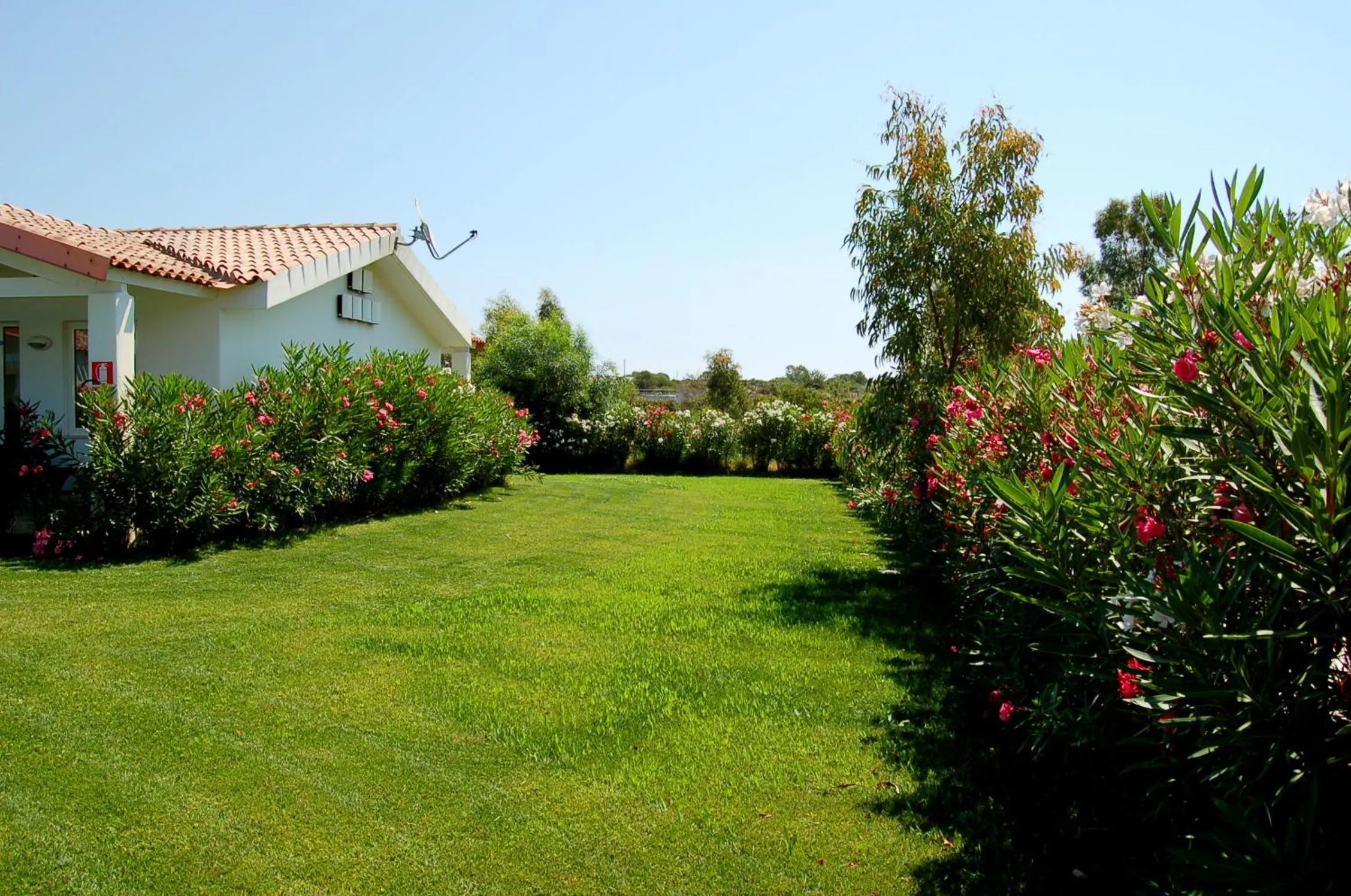 Facade/entrance in Hotel Budoni Beach