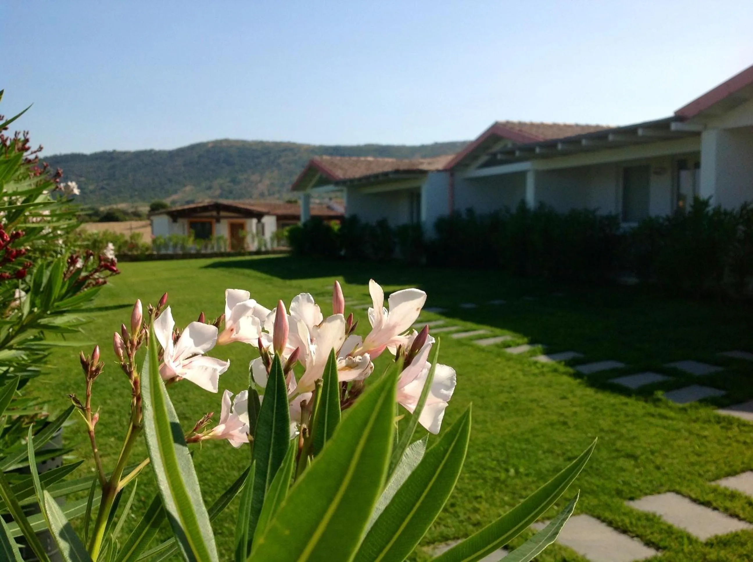 Facade/entrance in Hotel Budoni Beach