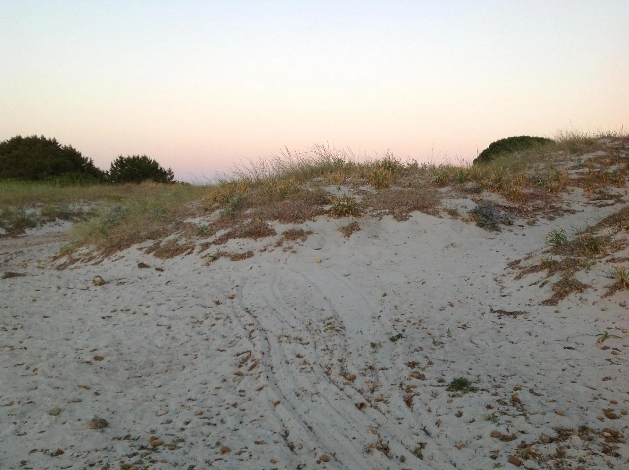 Area and facilities in Hotel Budoni Beach