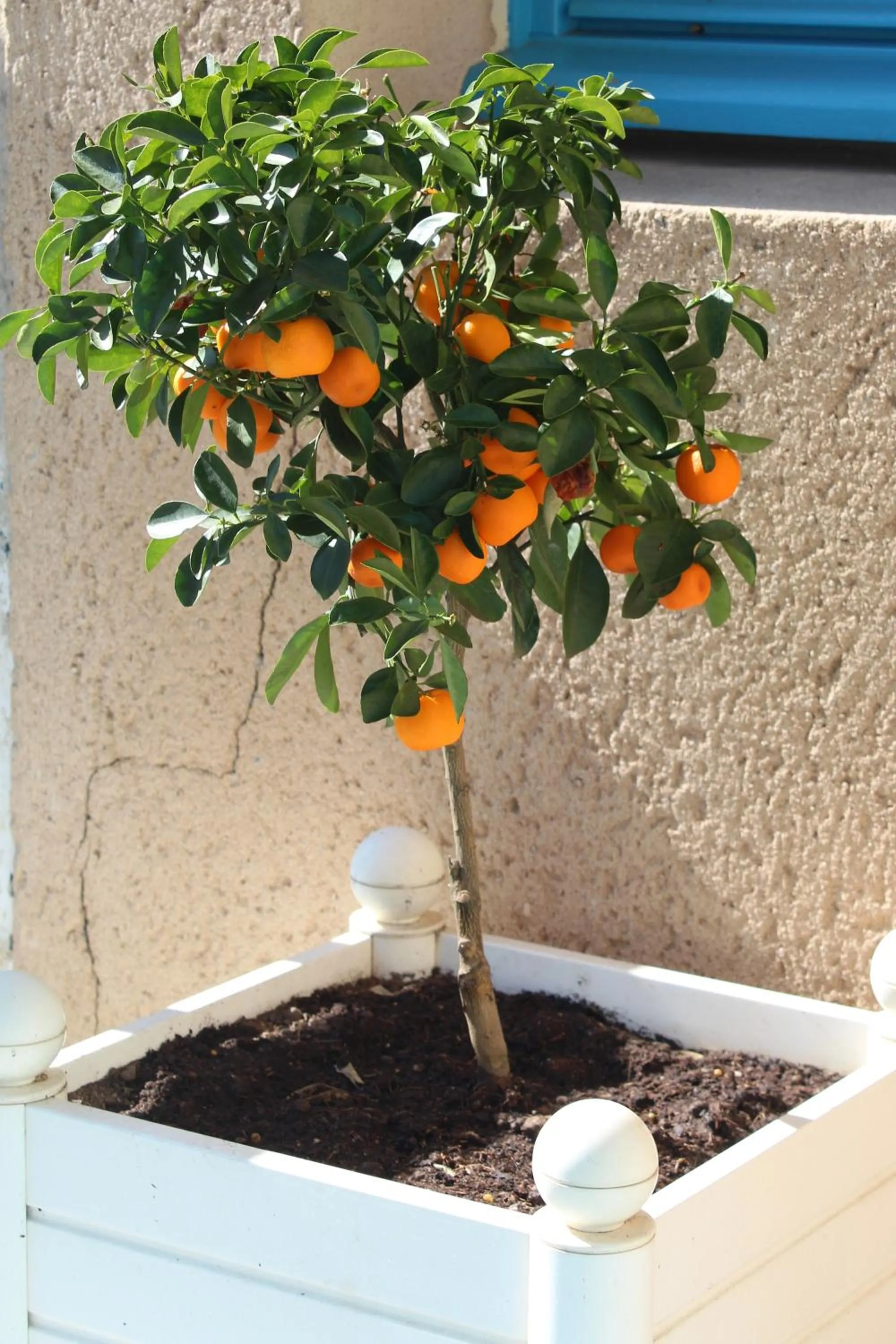 Balcony/Terrace in Hotel Au Marais