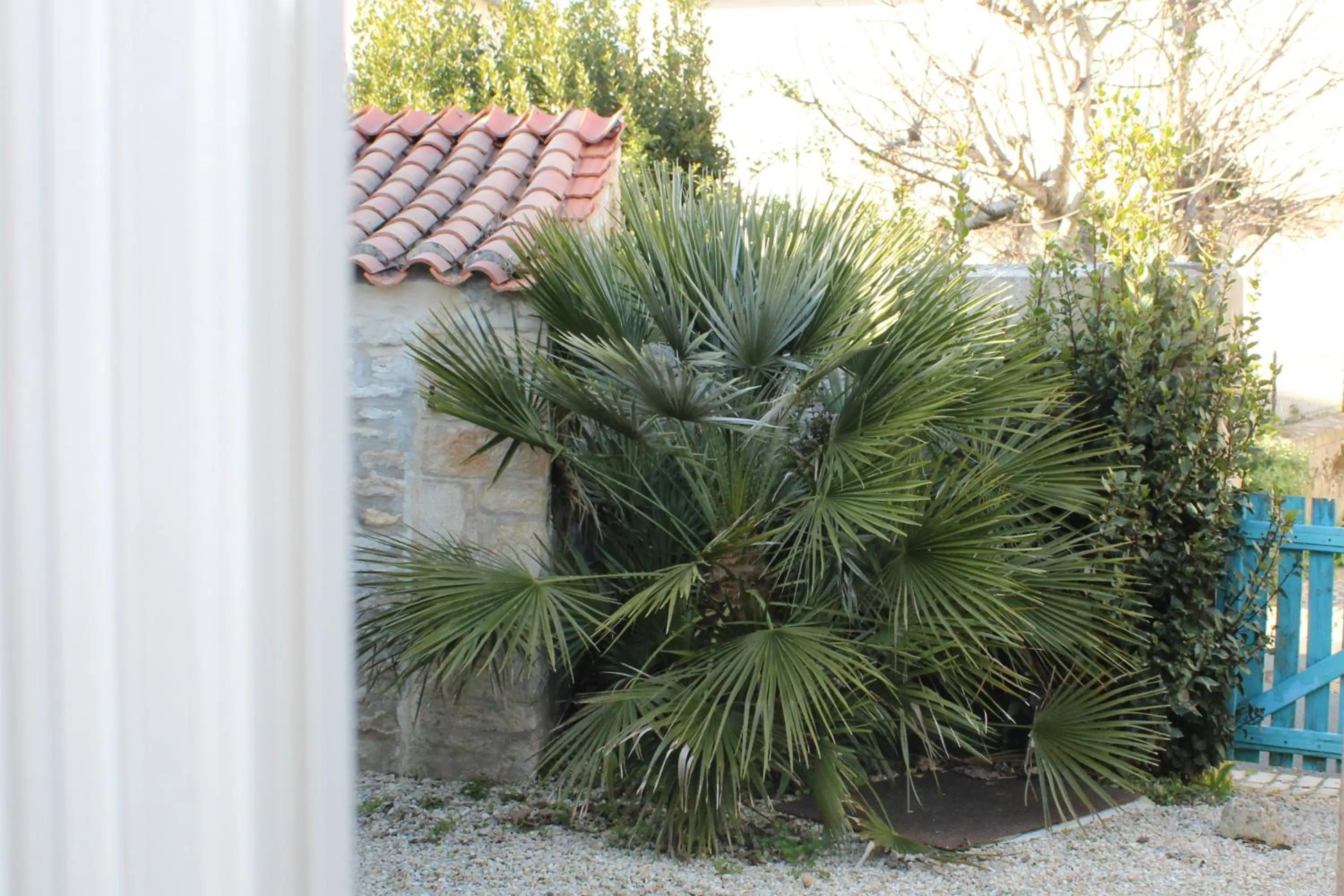 Garden view in Hotel Au Marais