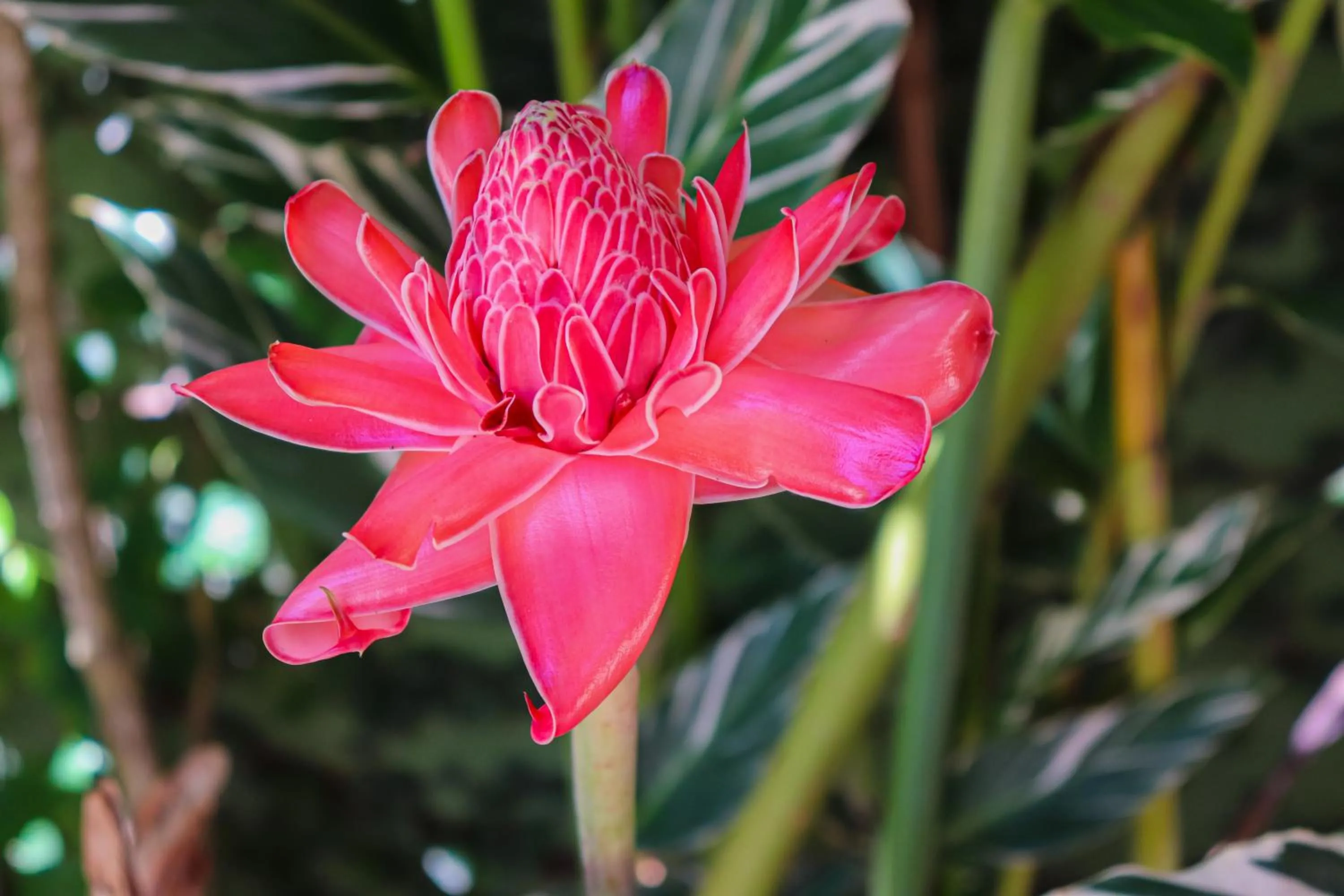 Casas e apartamentos da Ilda