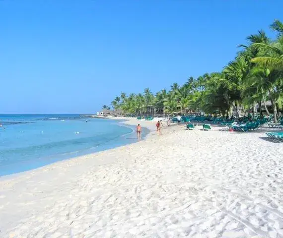 Palma Real Palma Real