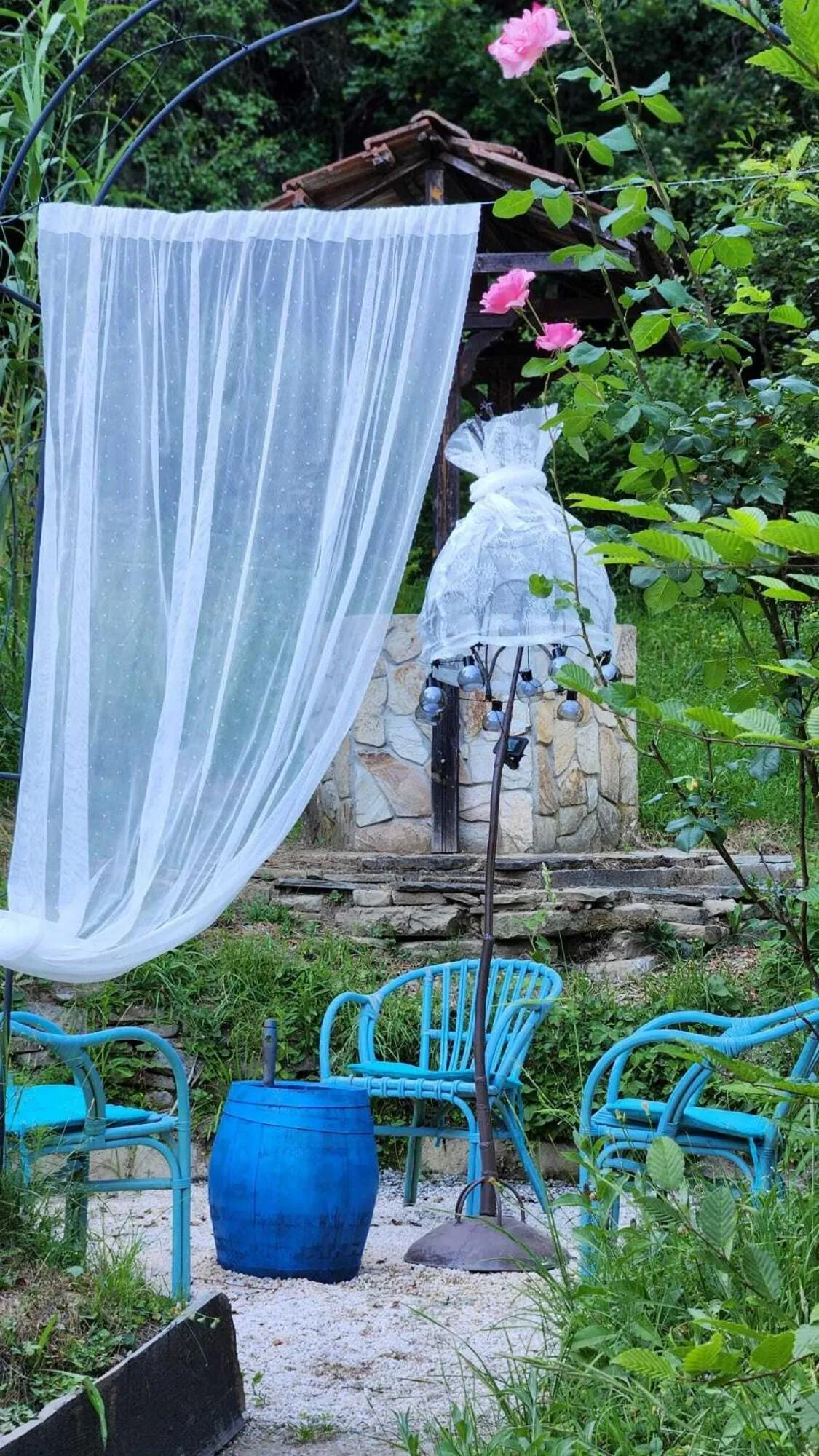 Garden in Little River Guest House