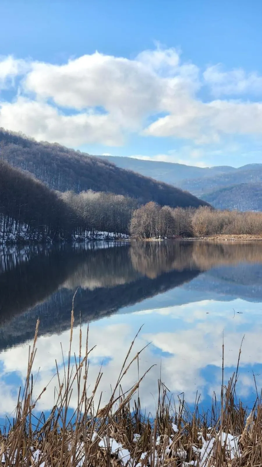 Neighbourhood in Little River Guest House