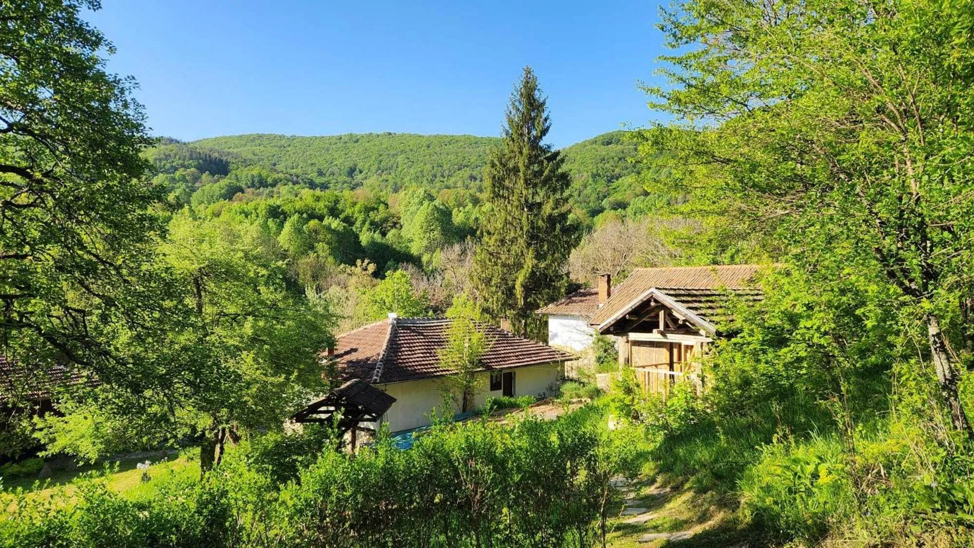 Other in Little River Guest House