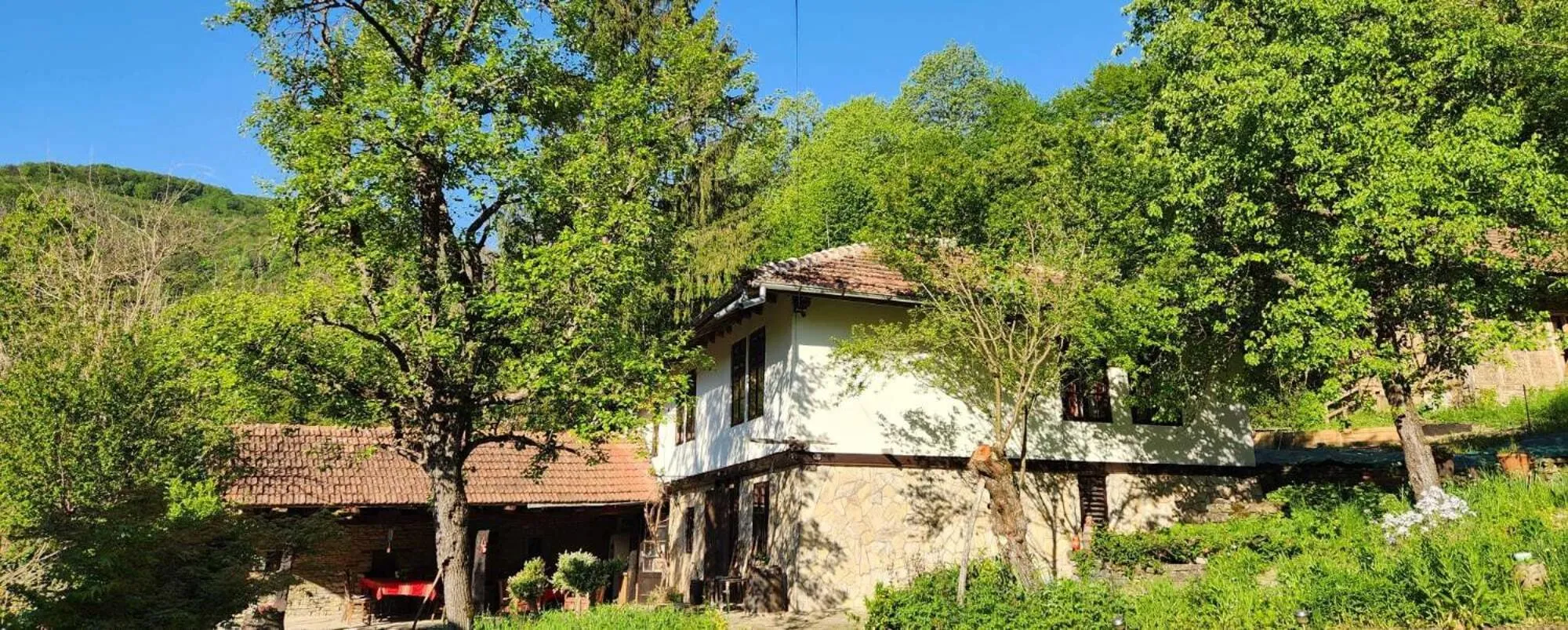 Property building in Little River Guest House