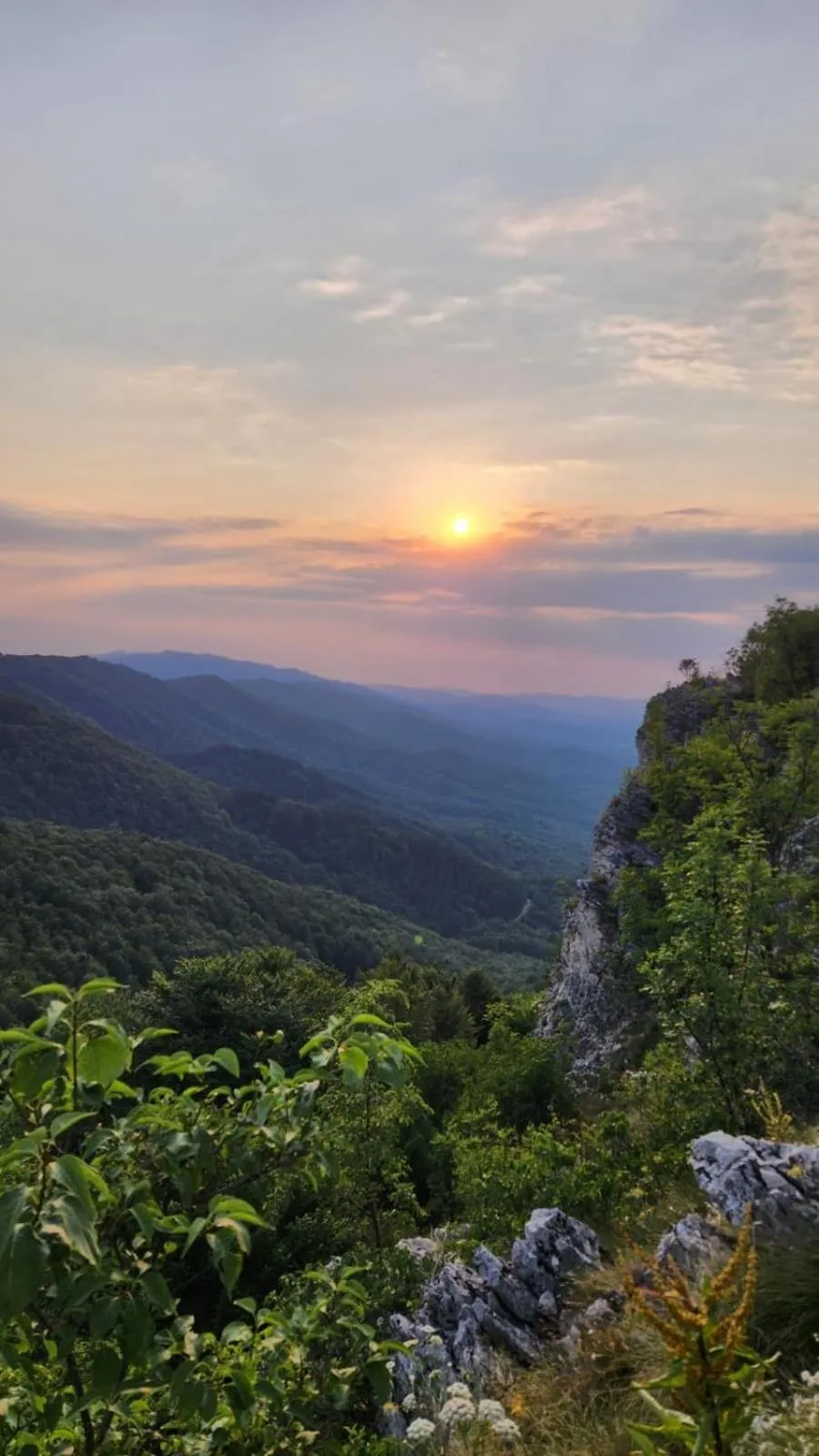 Neighbourhood in Little River Guest House