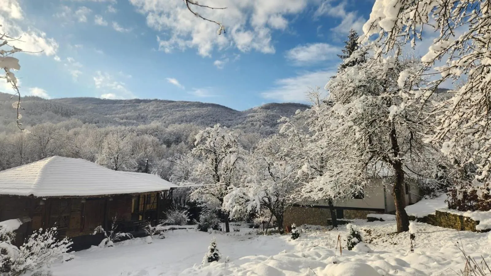 Garden in Little River Guest House