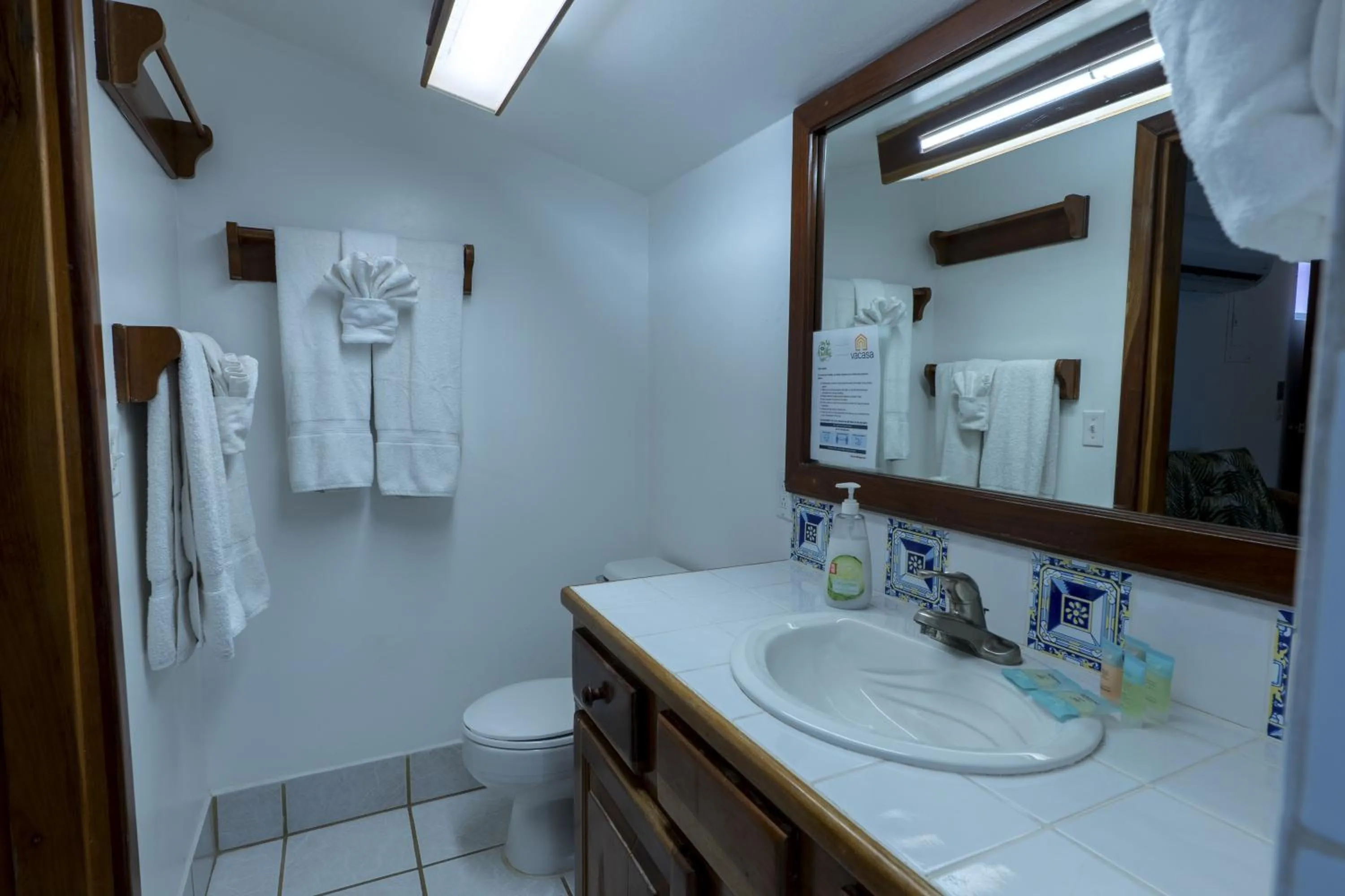 Cacao @ Caribe Island