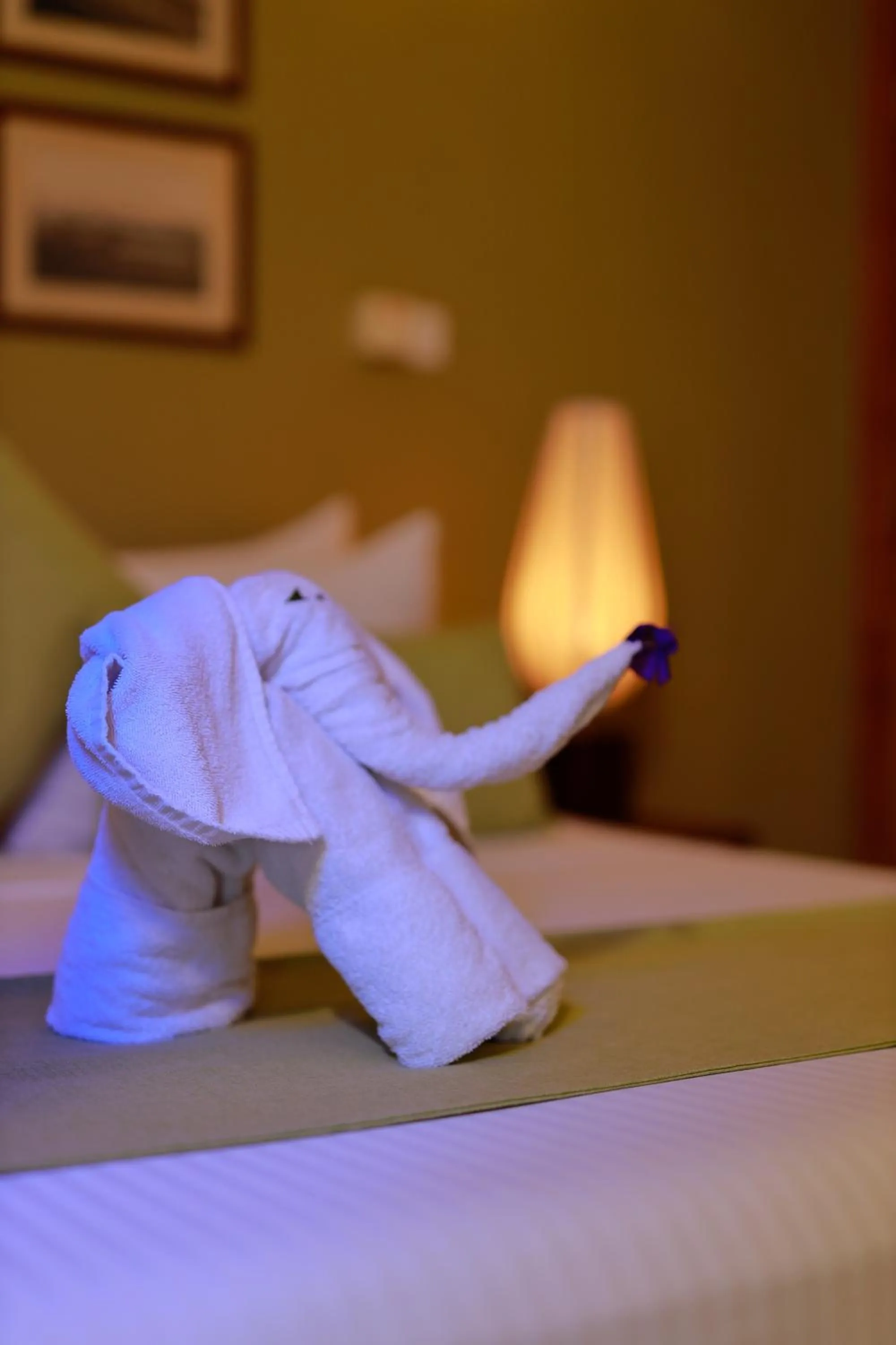 towels, Bed in Melheim Resort and Spa