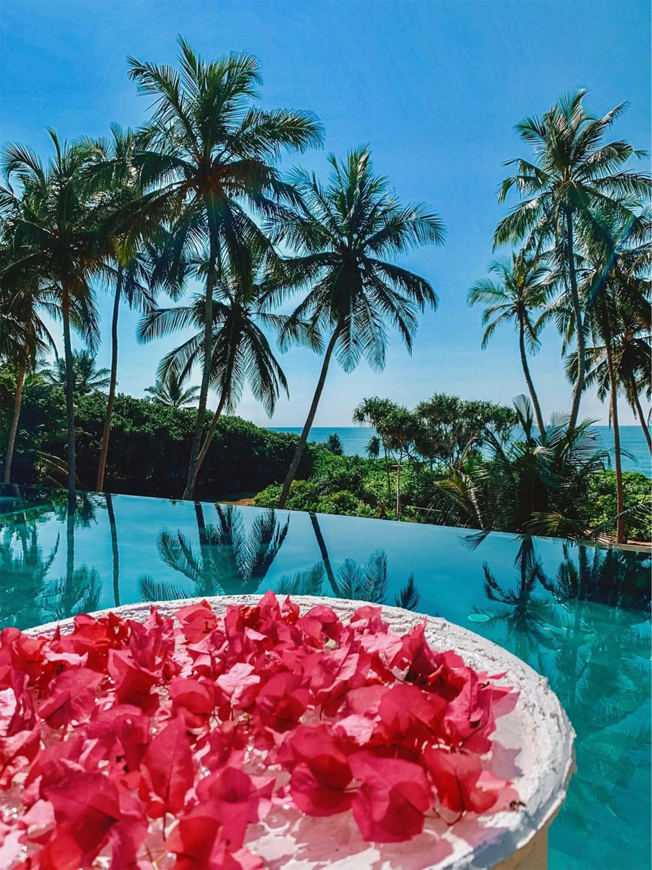 Pool view in Buckingham Place